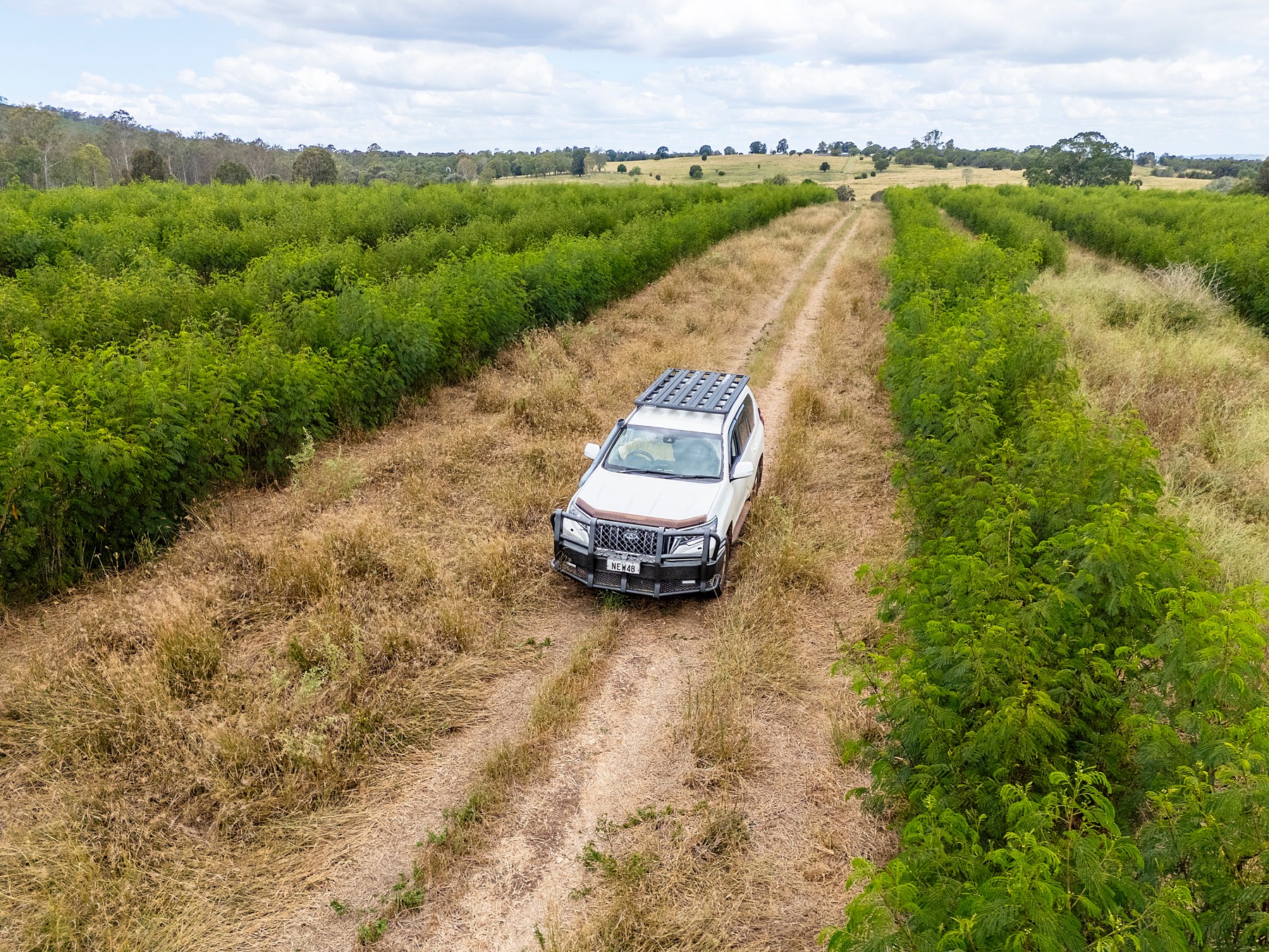 242 Reidy's Road, Wooroonden, QLD 4605