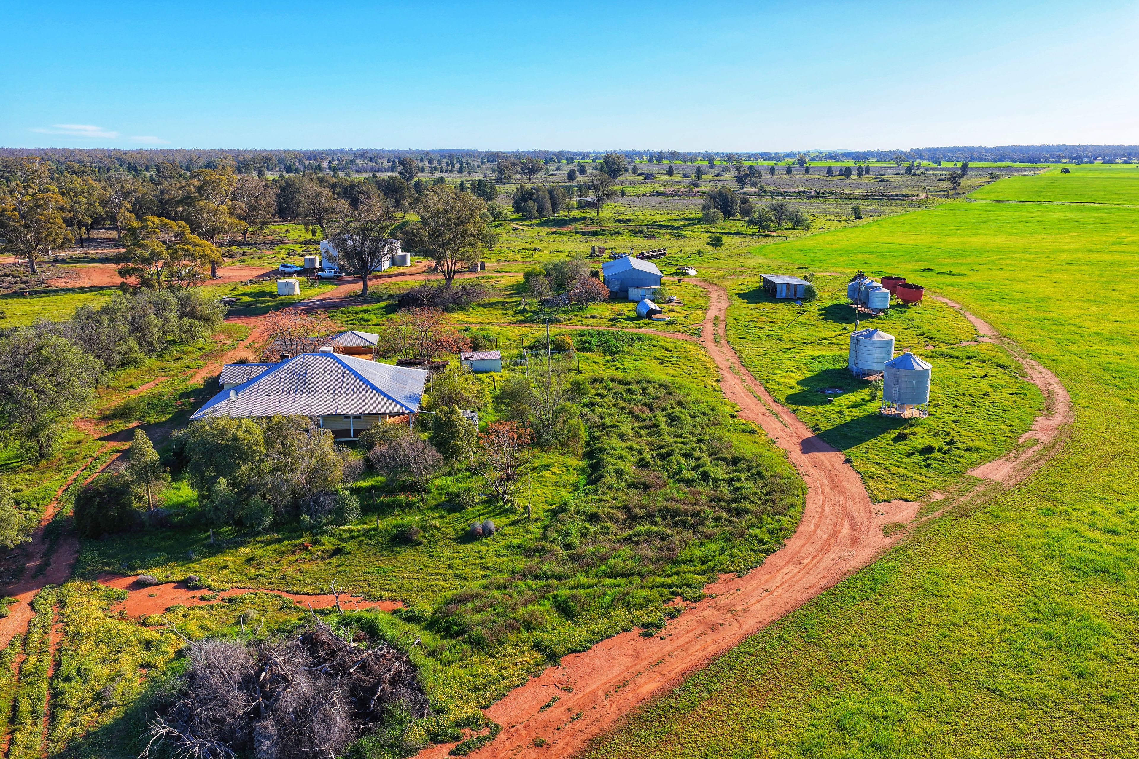 Daisy Springs 2537 The Bogan Way, Albert, NSW 2873