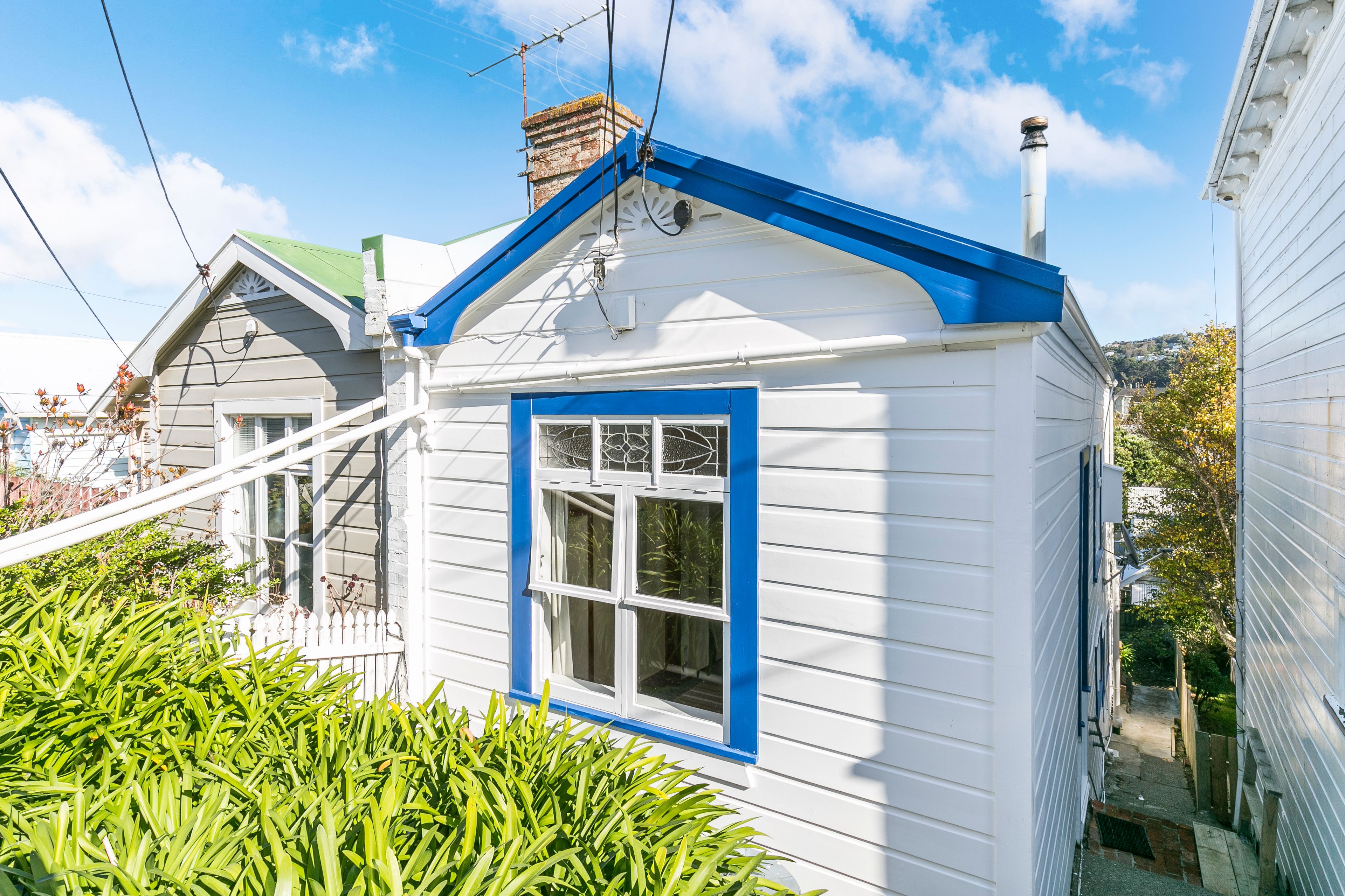 8 Coromandel Street, Newtown, Wellington City