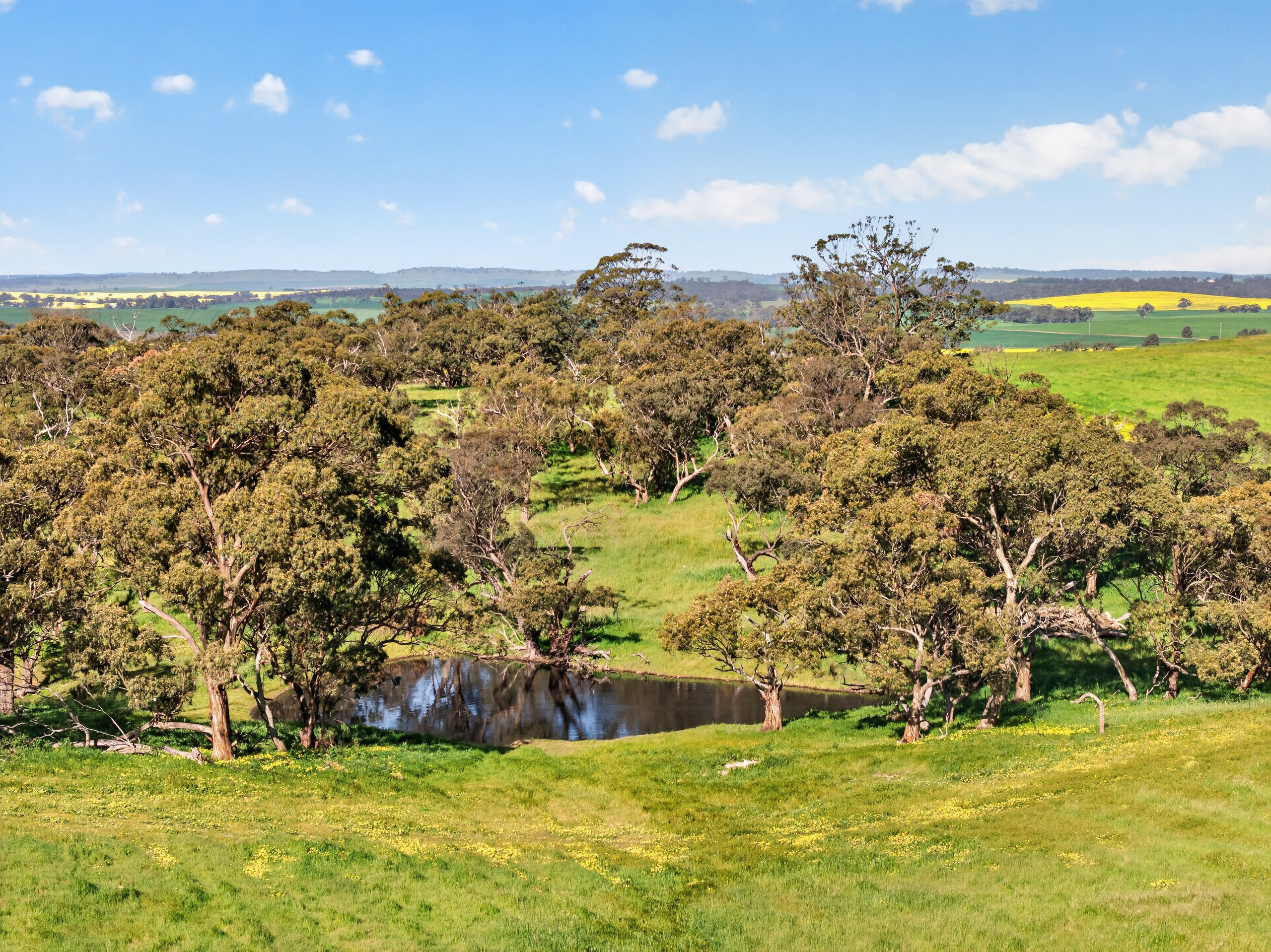 'Woolshed' Kelly Road, Undalya, SA 5451