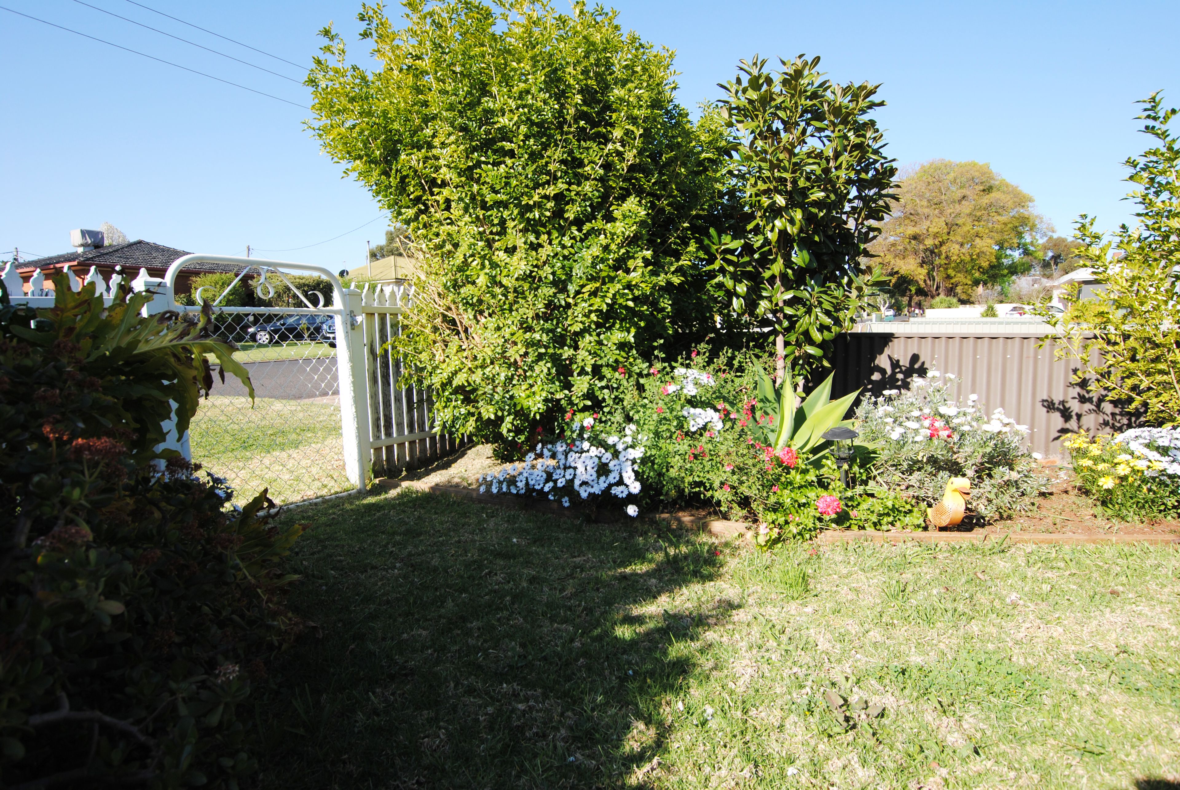 74 Noorilla Street, Griffith, NSW 2680