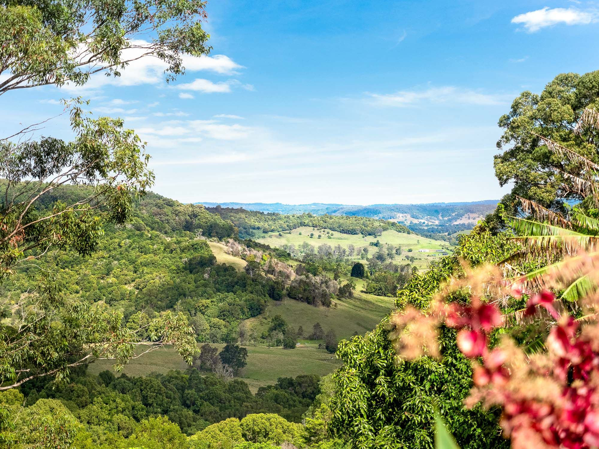 53 Barrys Road, Modanville, NSW 2480