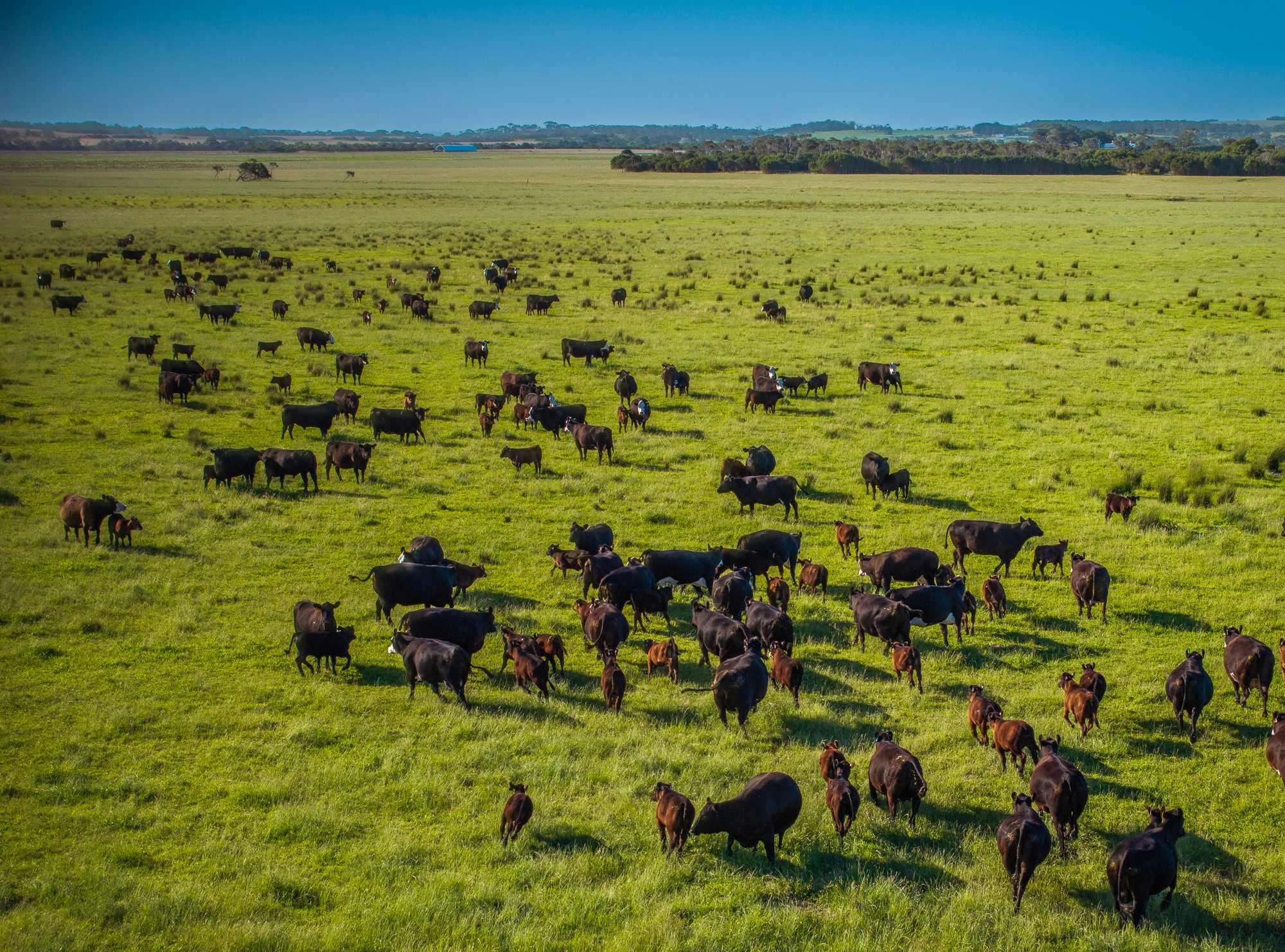 90 Mcrae Road, Buffalo, VIC 3958