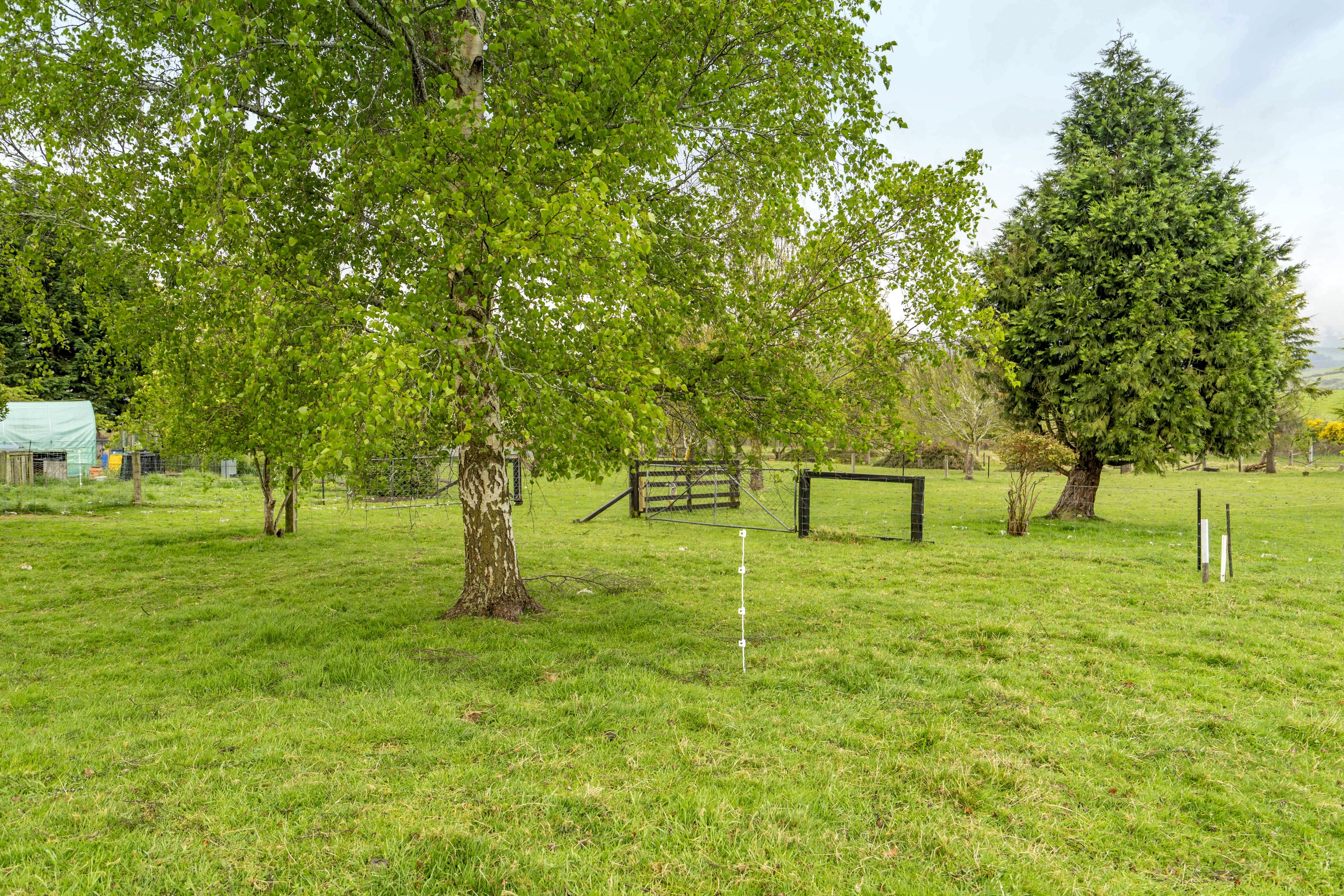 164 Birchwood Road, Ohai, Southland District