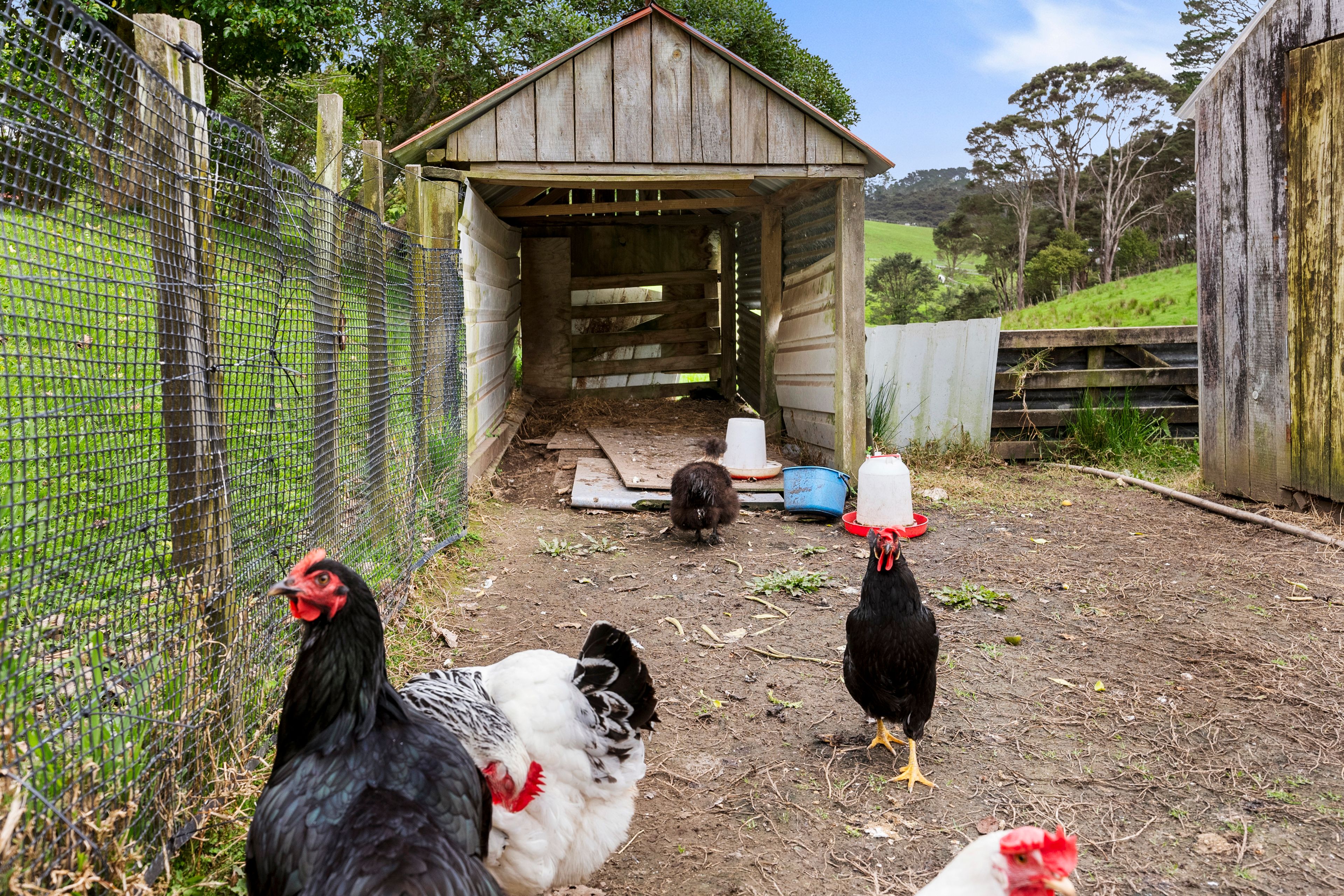 197 Forest Hill Road, Waiatarua, Waitakere City