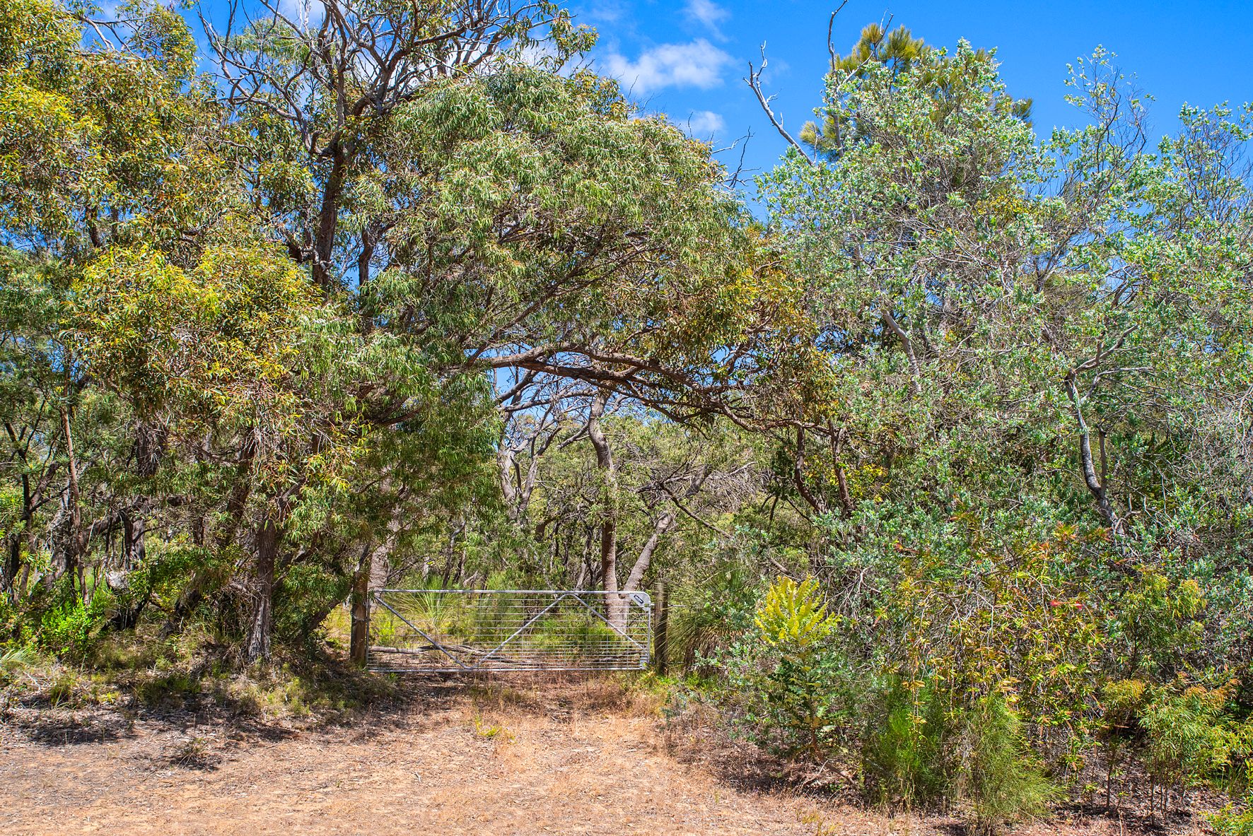 Lot 29 Drummond Glen, Naturaliste, WA 6281 Land for Sale Ray White