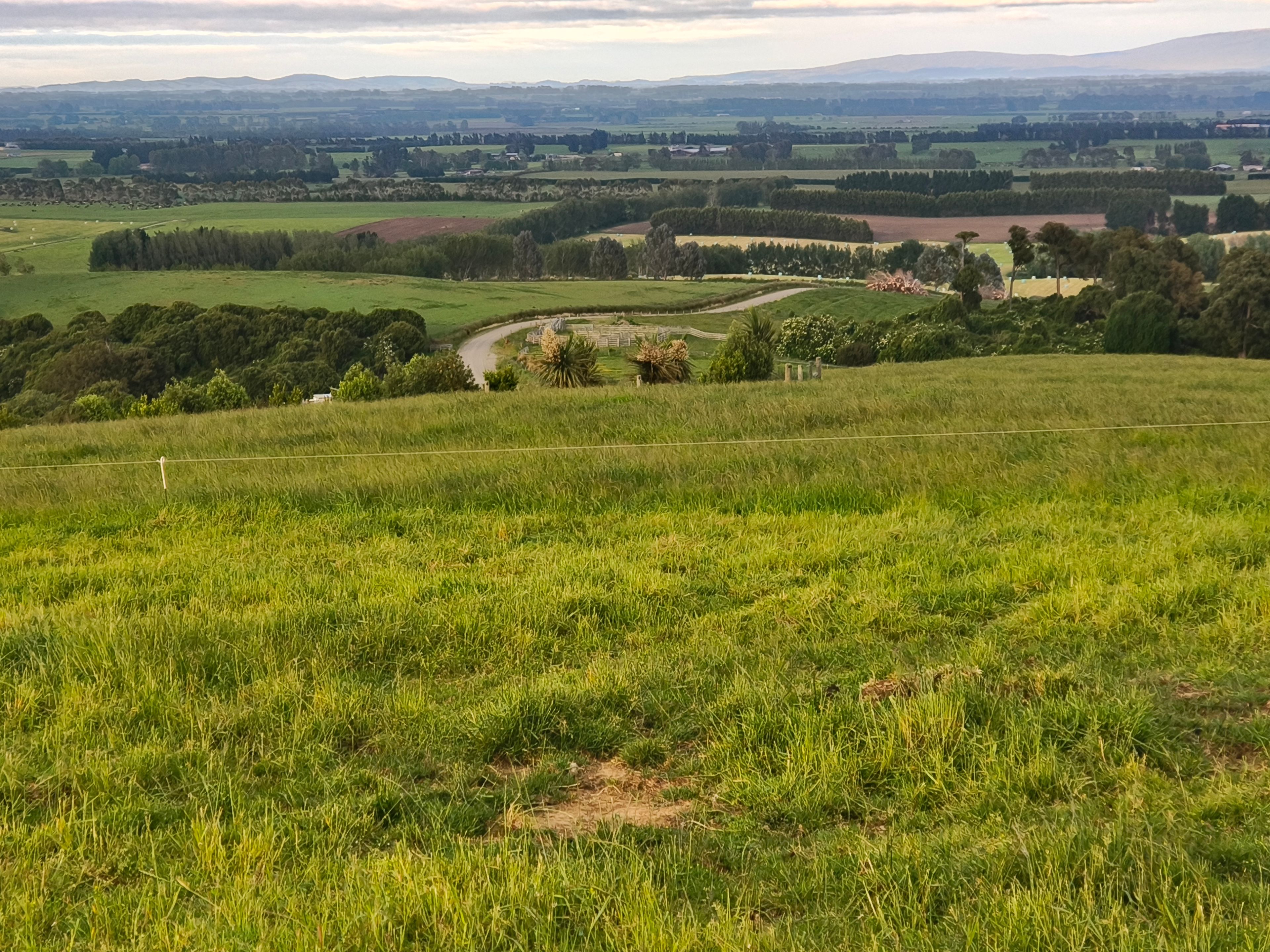 137 Kahikatea Drive, Winton, Southland District