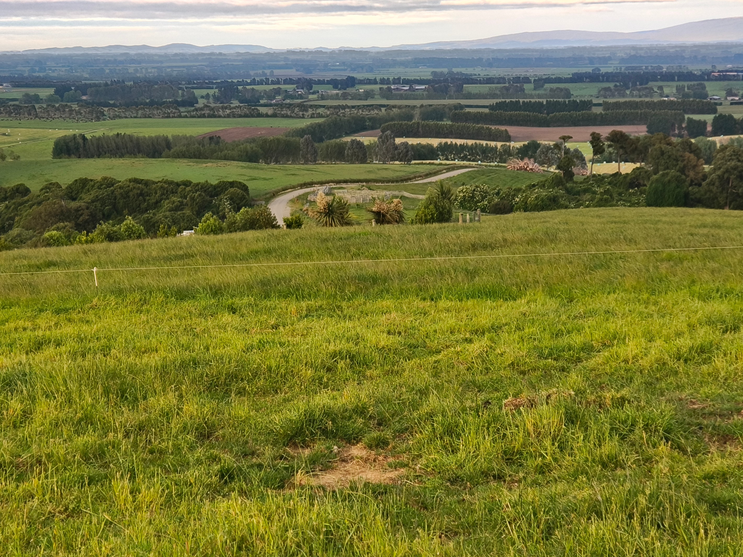 137 Kahikatea Drive, Winton, Southland District