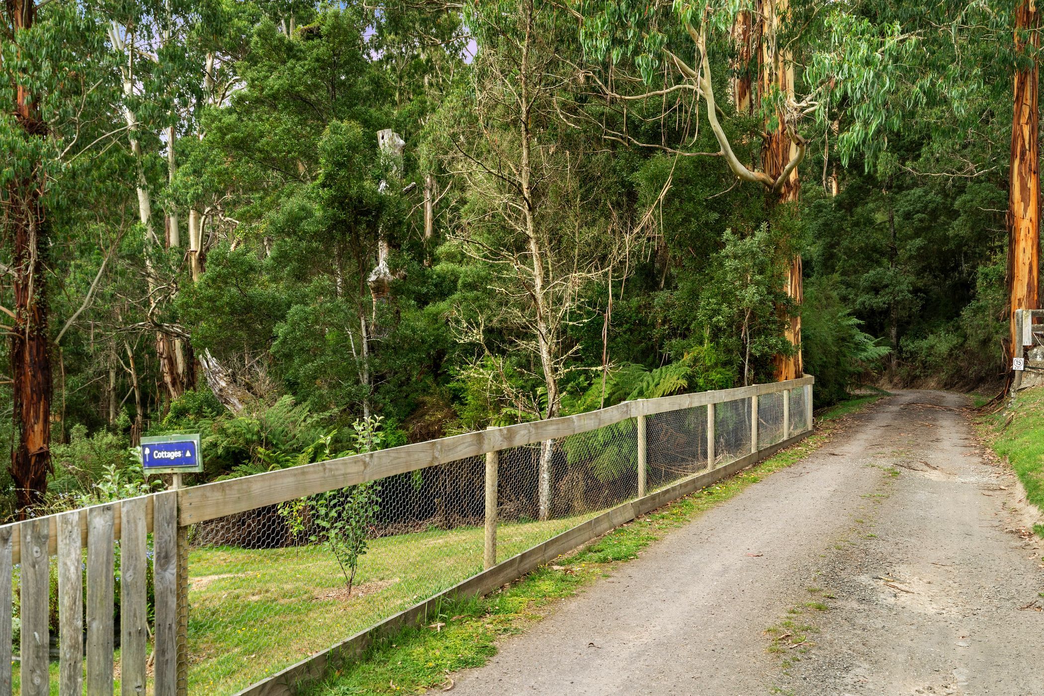 1090 & 1088 Barham River Road, Apollo Bay, VIC 3233