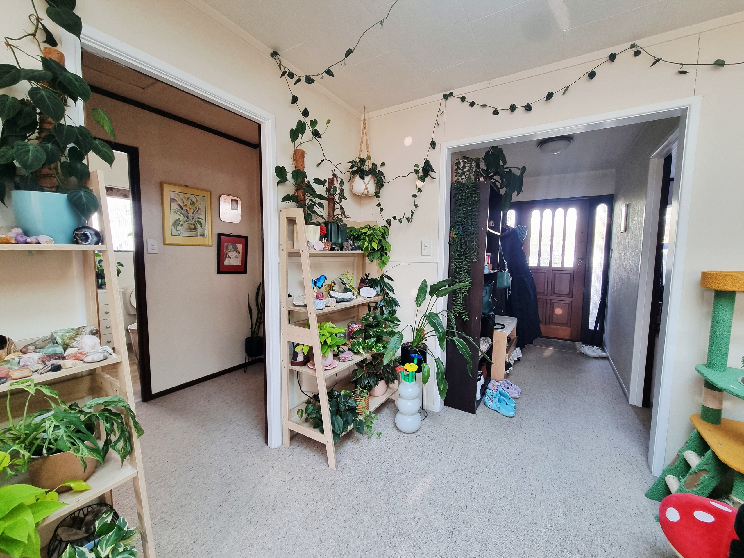 85a Peace Street, Whakatane, Whakatane District