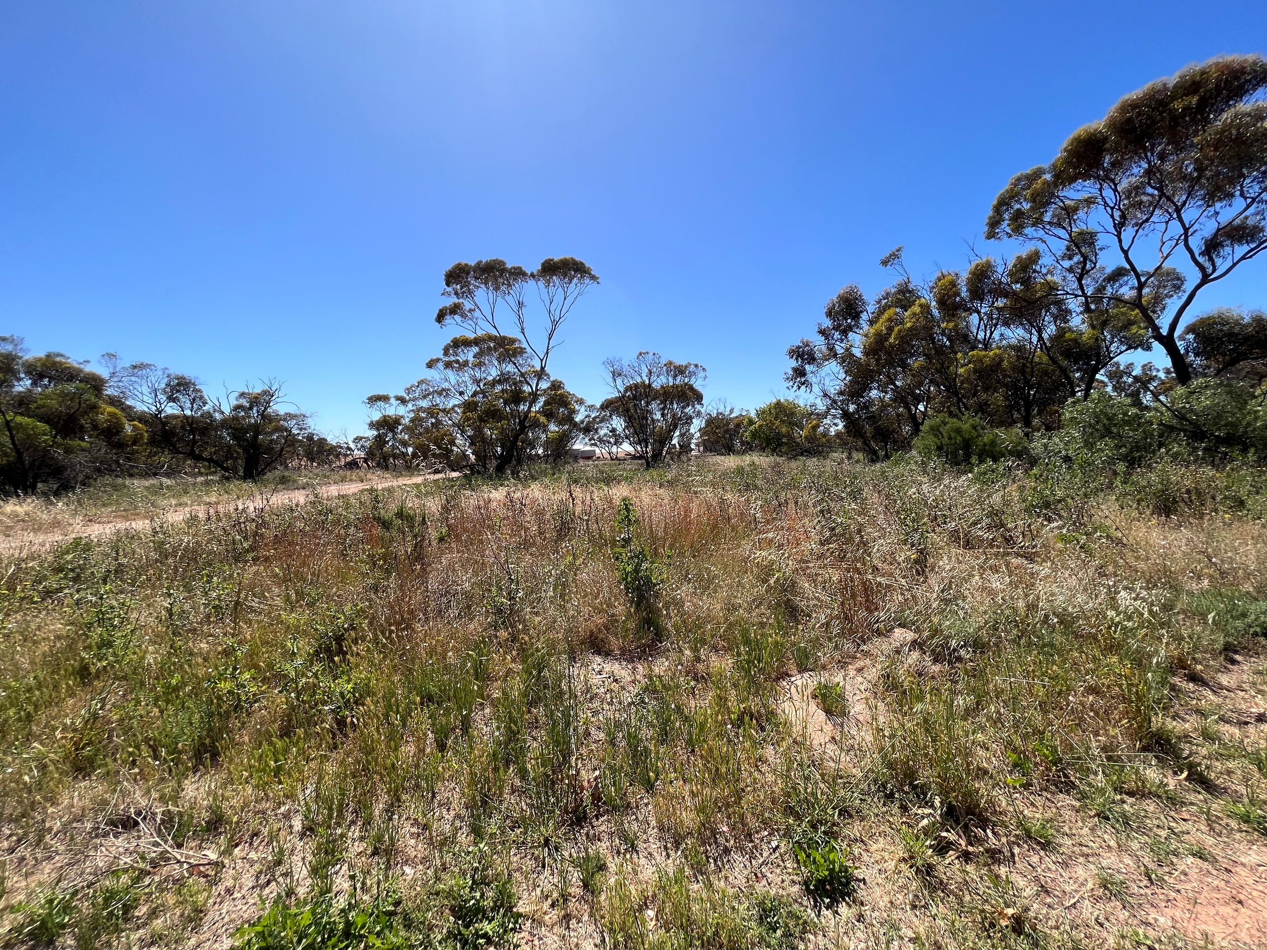 Lot 26 Collins Street, TURRIFF, VIC 3488