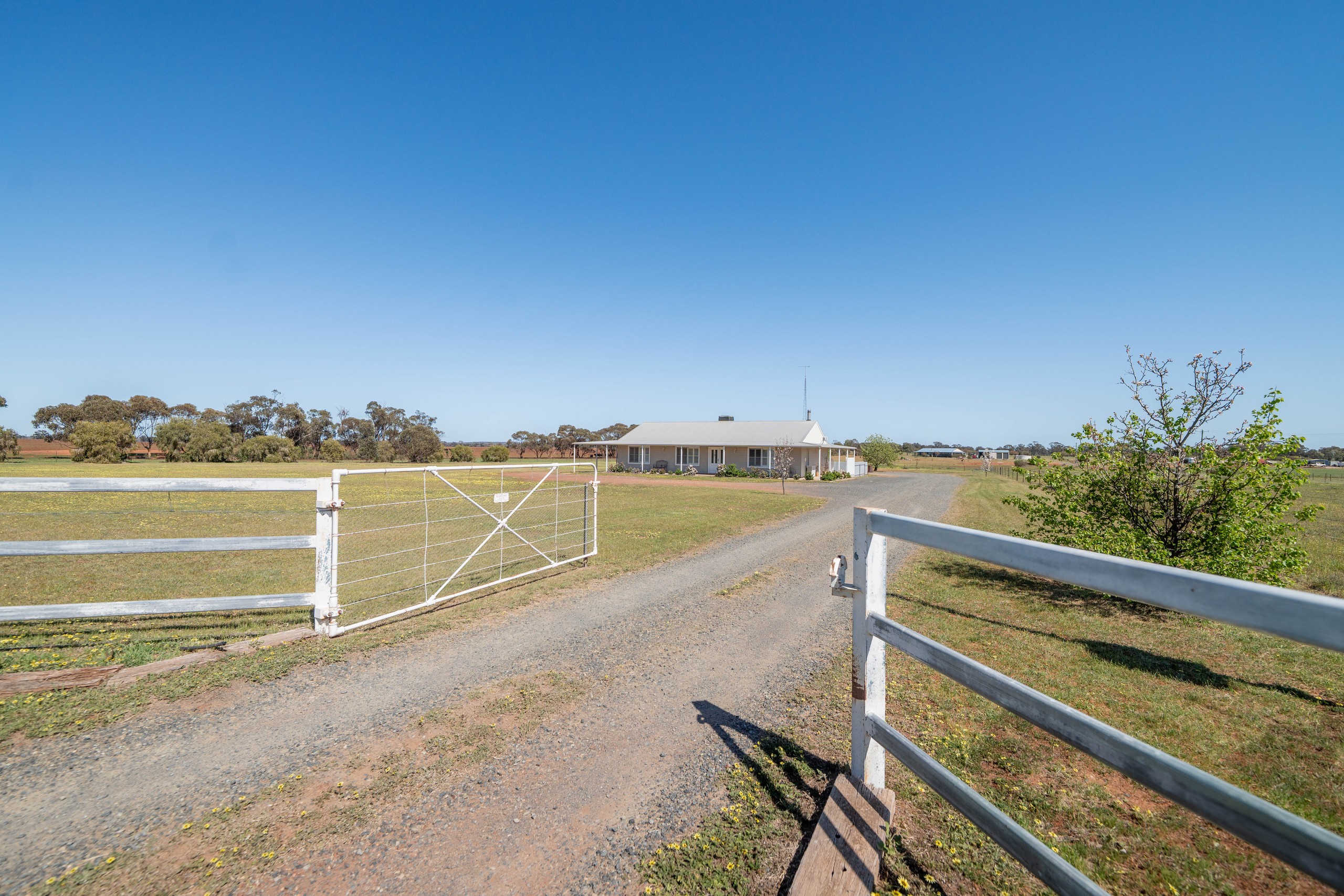 136 Wargin Road, Wyalong, NSW 2671