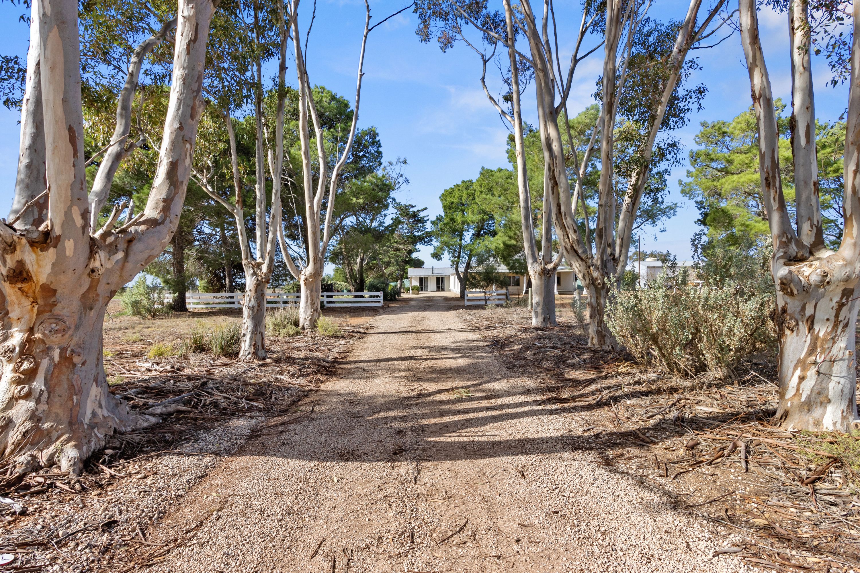 133 Piggery Corner Road, Cunningham, SA 5571