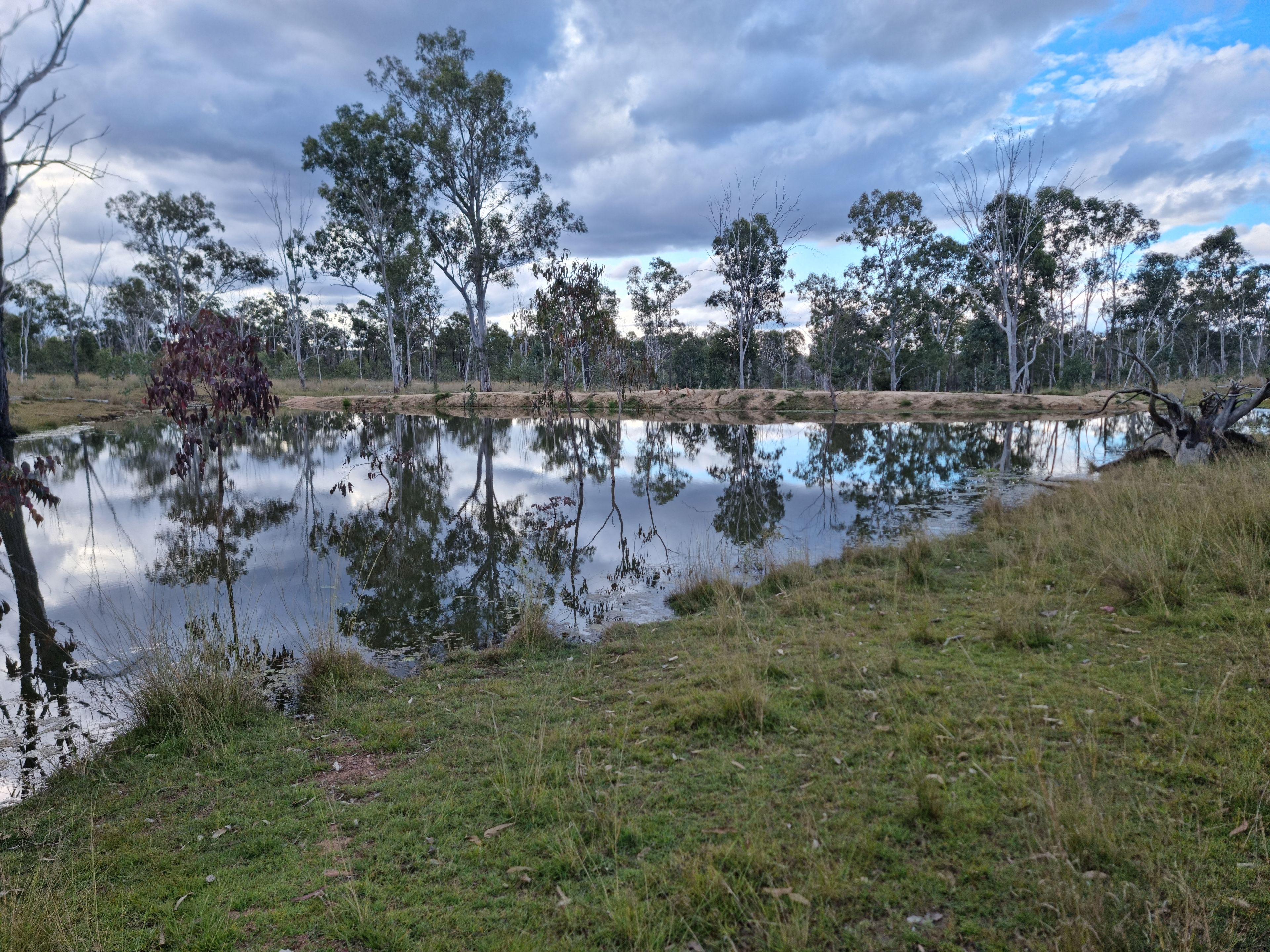 "Another Great Sale by Ian Newson Ray White Mundubbera" LOT 1