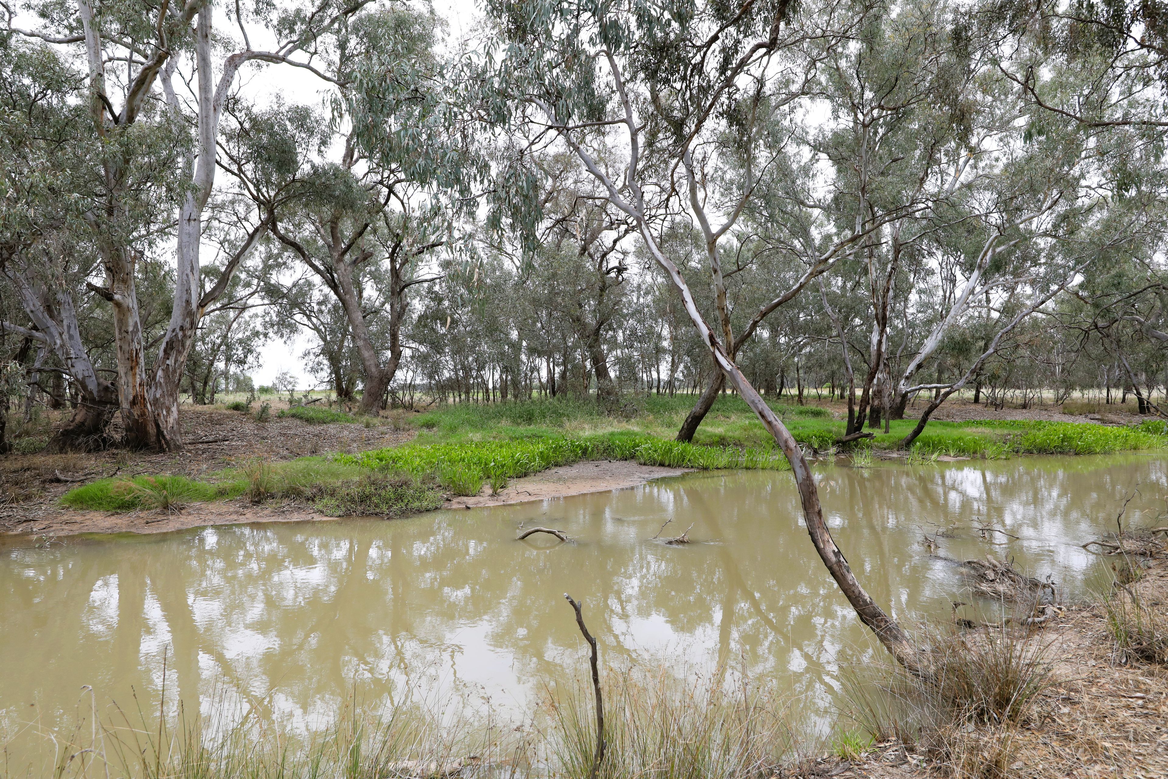 83 Gribben Road, Invergordon, VIC 3636