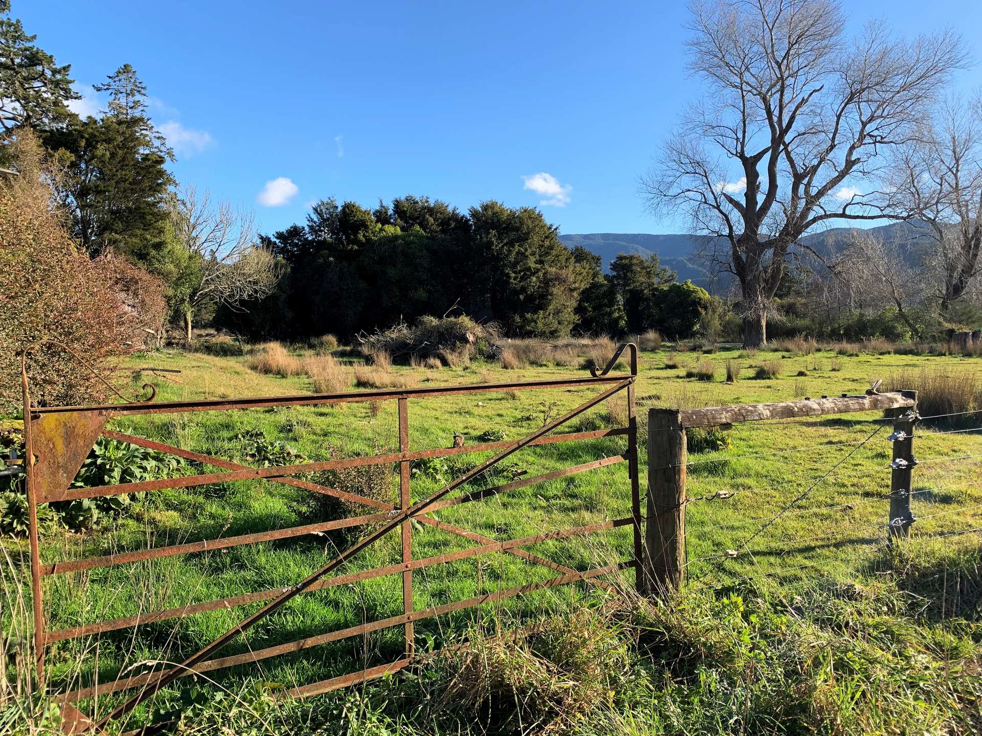 1127 Collingwood-Bainham Main Road, Aorere photo 9