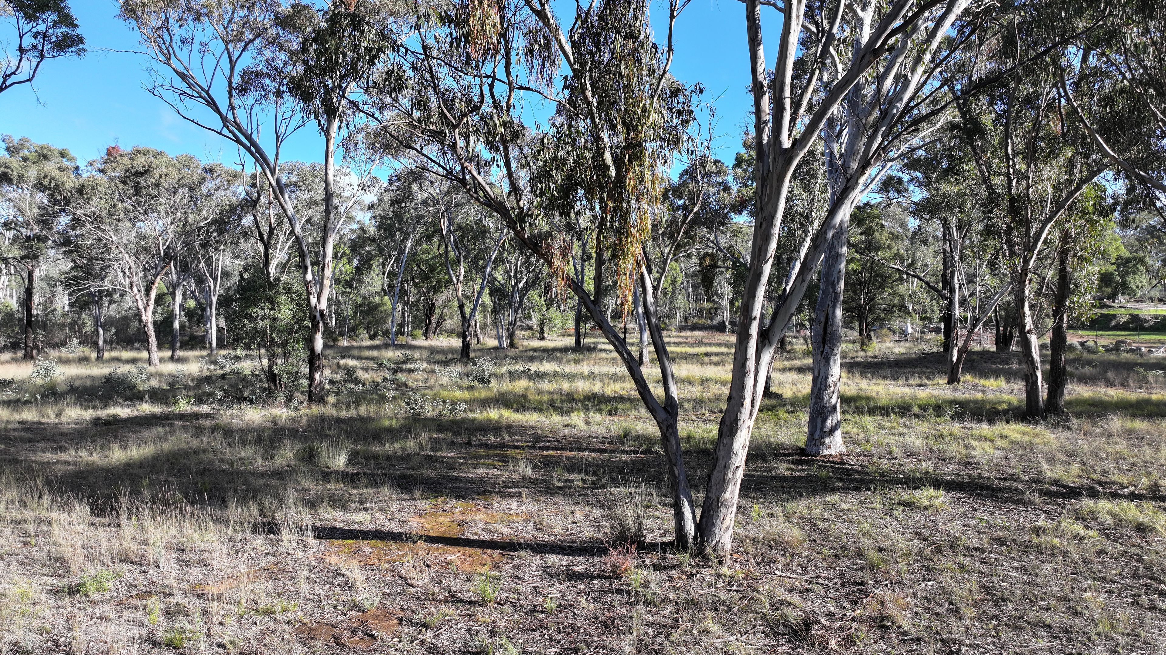 871 Timor Road, Coonabarabran, NSW 2357
