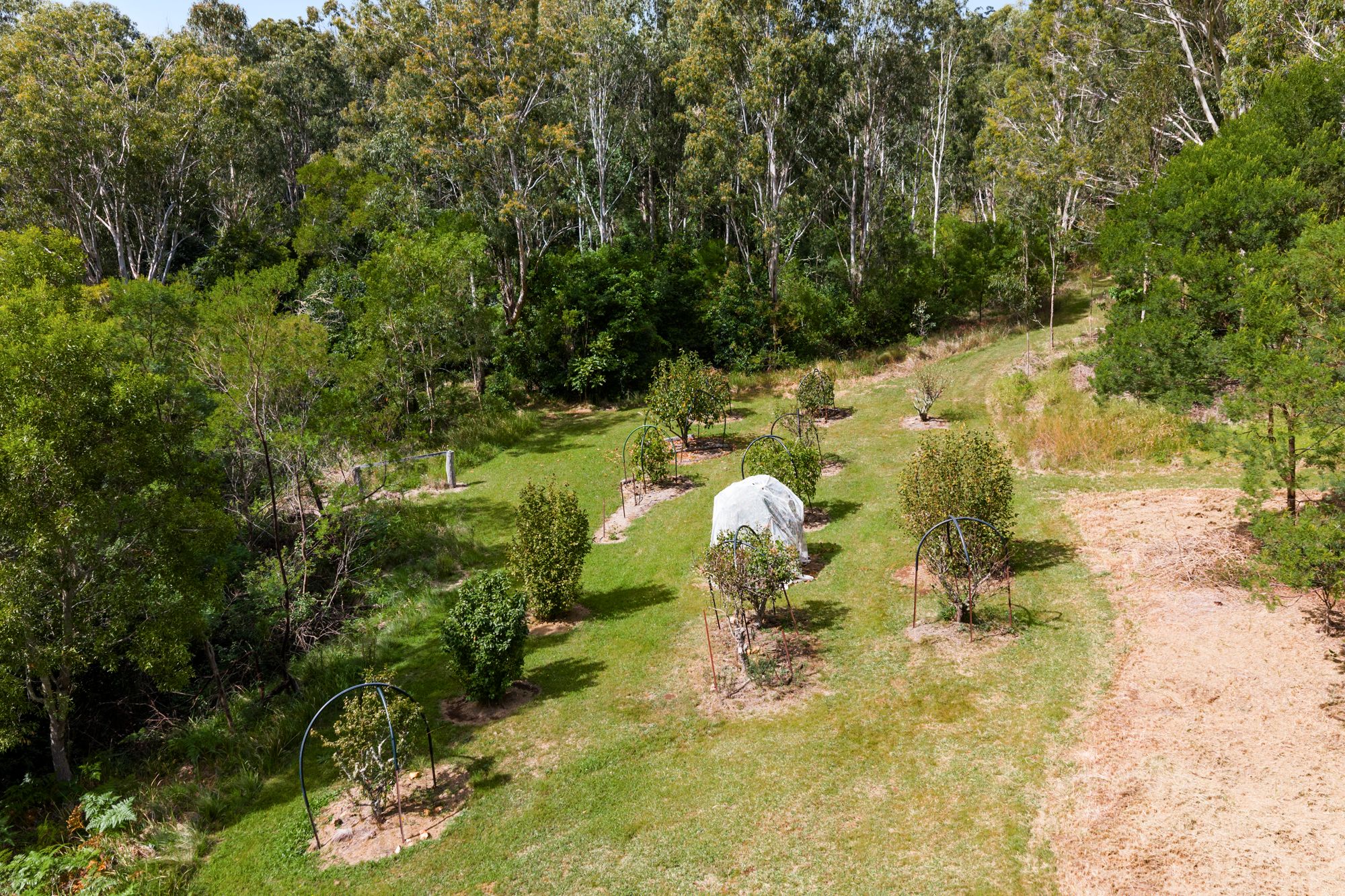 "Overberg" 3697 Esk Hampton Road — photo 30 of 30