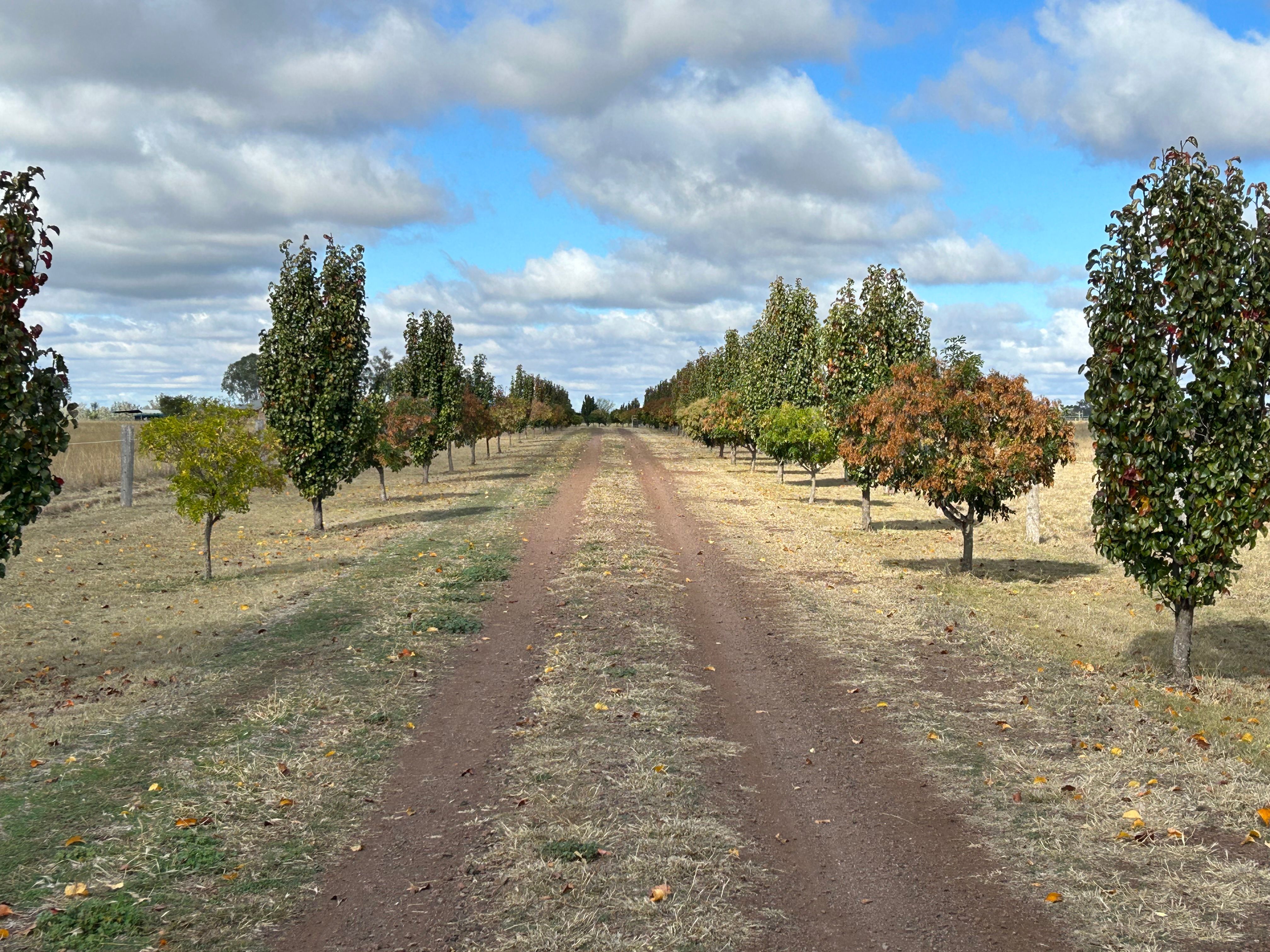 "Malu Park" "Malu Park"/1100 BowenvilleAcland Road, Malu, QLD 4403