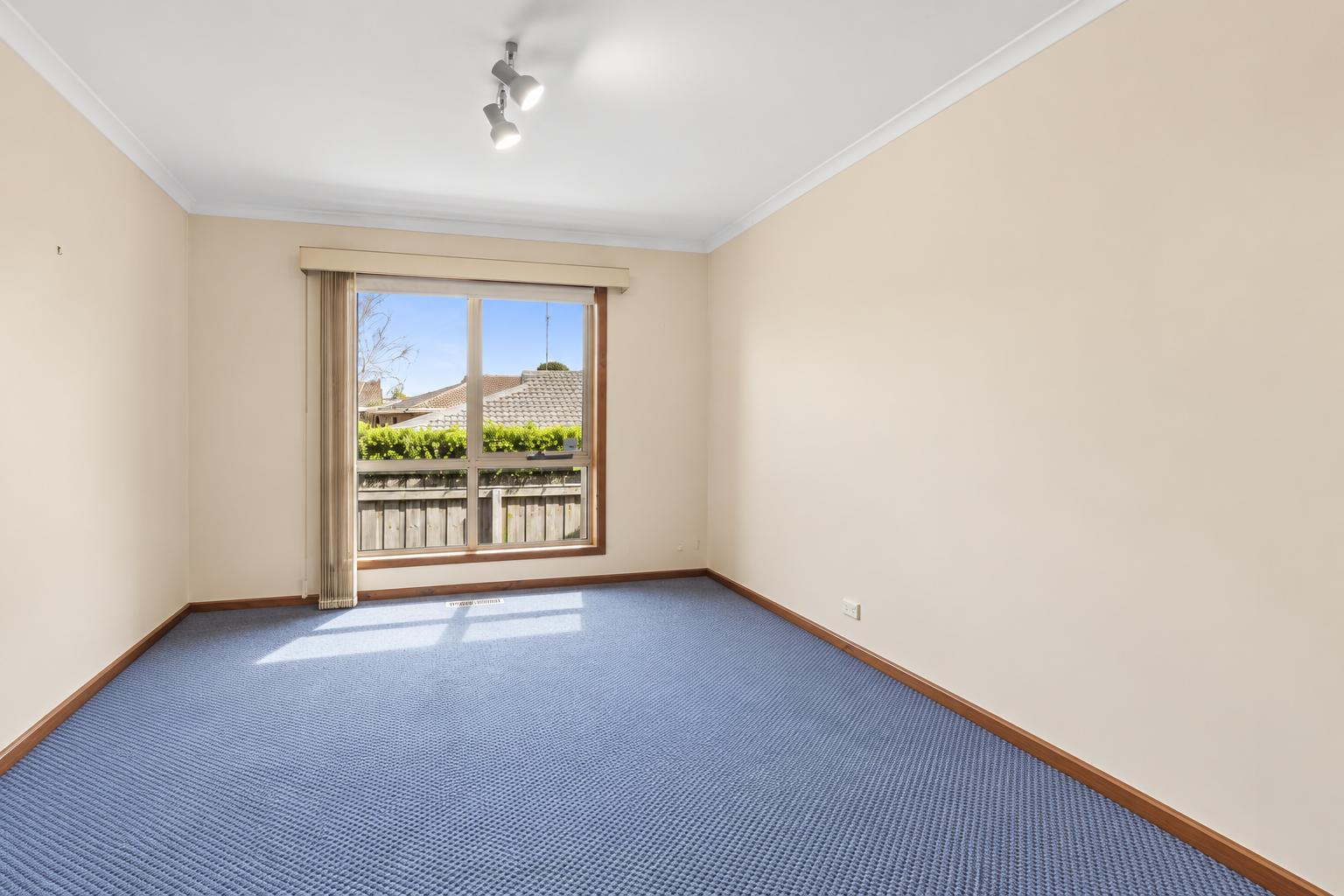 41 Palmerston Street — photo 6 of 14