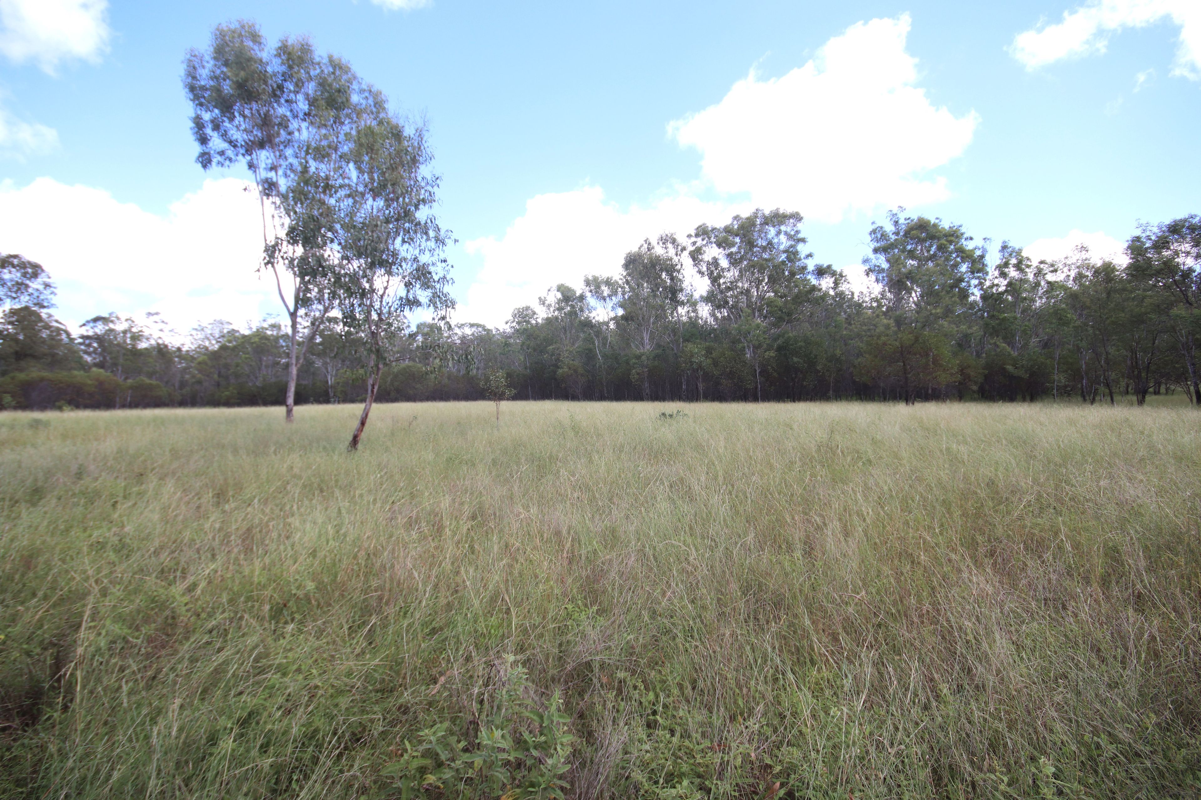 'Greentree' MundubberaDurong Road, Mundubbera, QLD 4626 Rural
