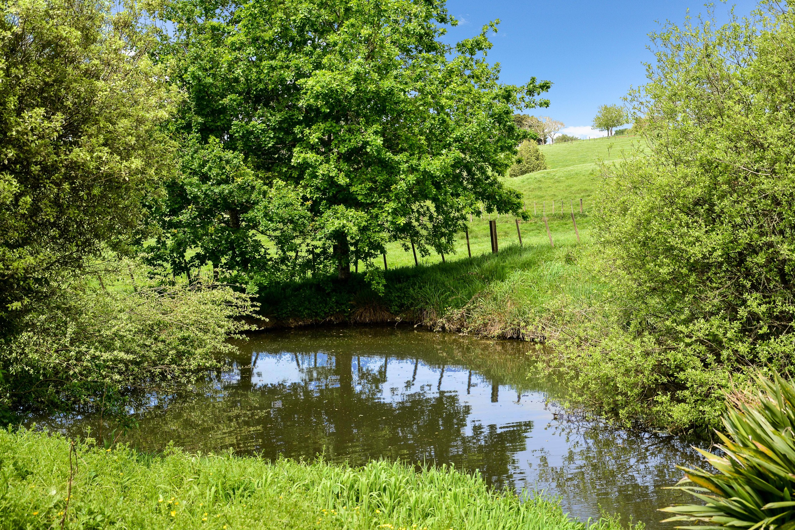 3293 Ohaupo Road, Rukuhia, Waipa District