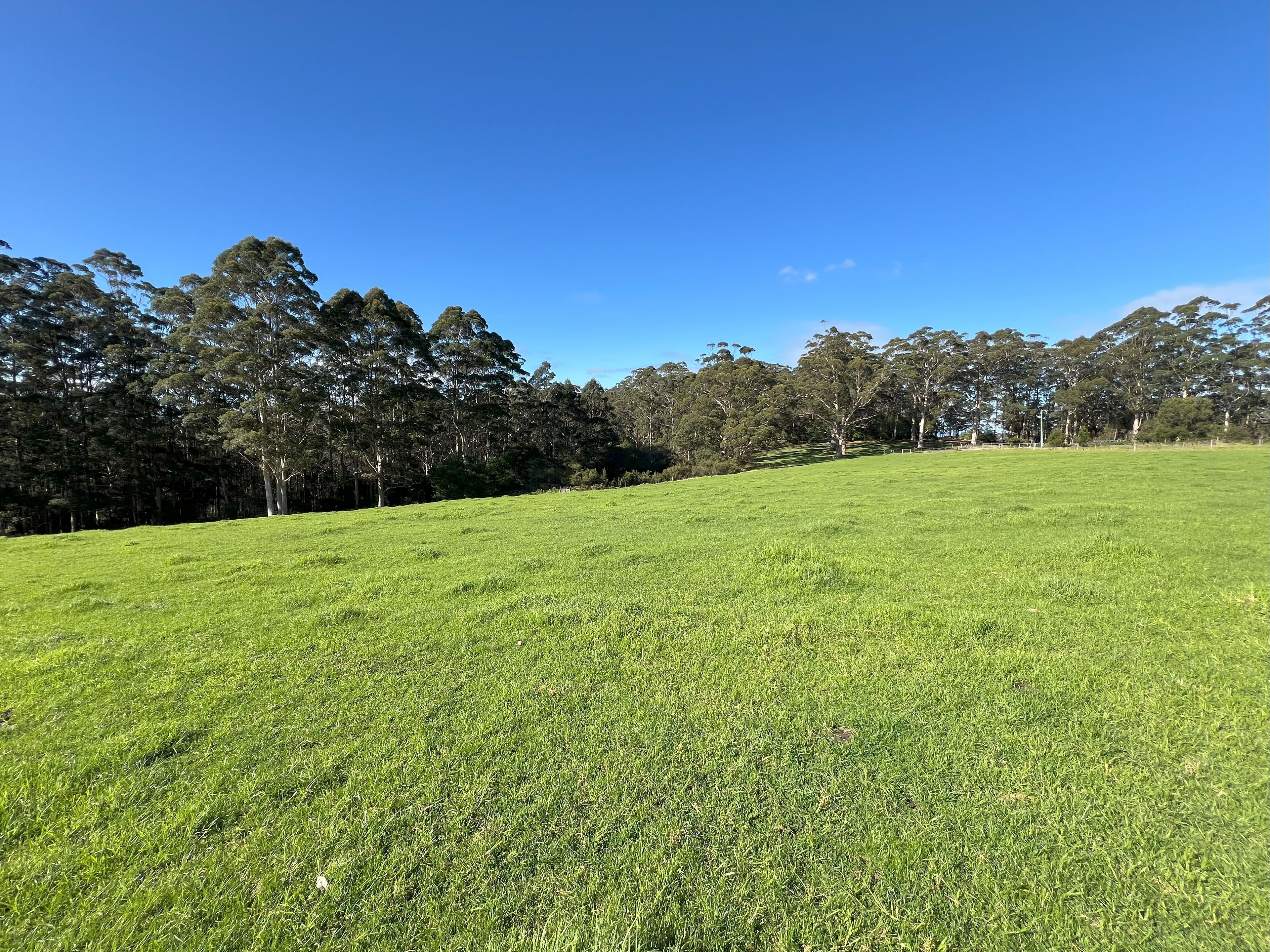 47 Pittam Way, Shadforth, WA 6333 - Sold Rural Lifestyle Property - Ray ...
