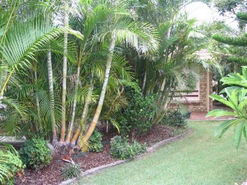 17 Annesley Crescent, Boondall, QLD 4034