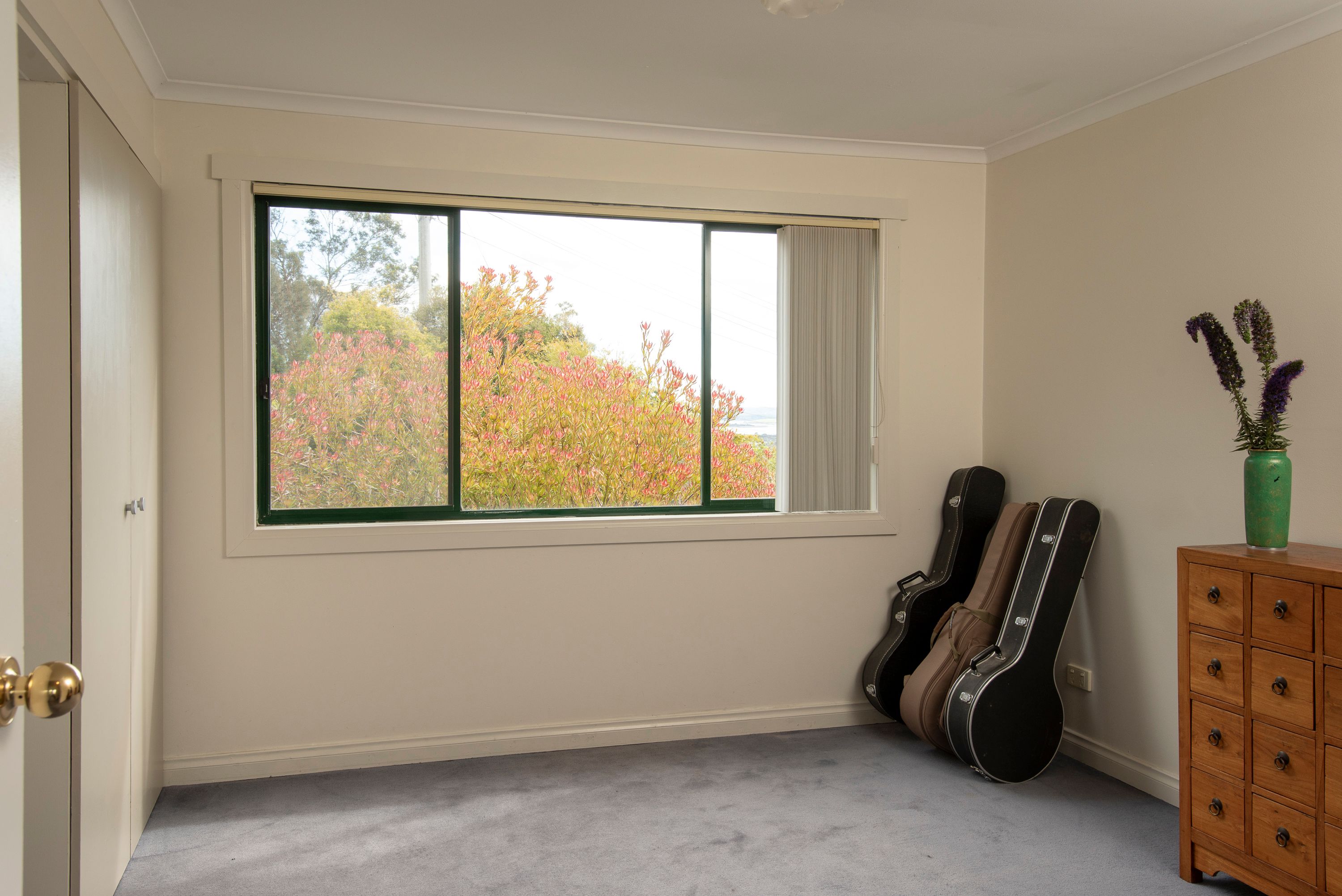 55 Newlands Street — photo 11 of 16