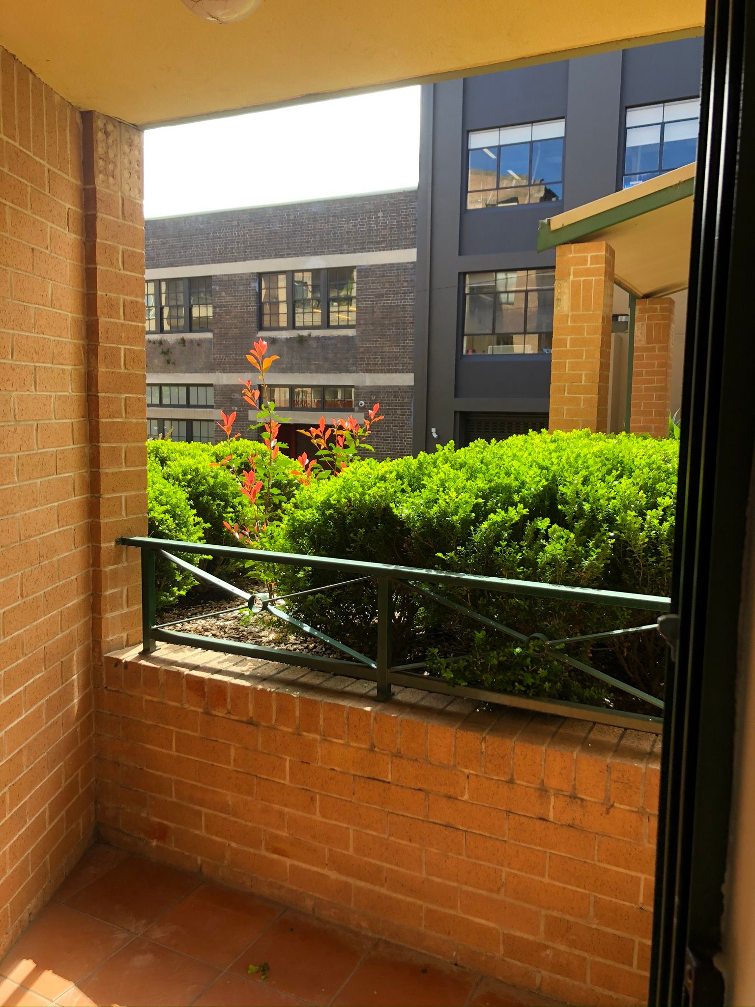 43/49 Dangar Street, Chippendale, NSW 2008