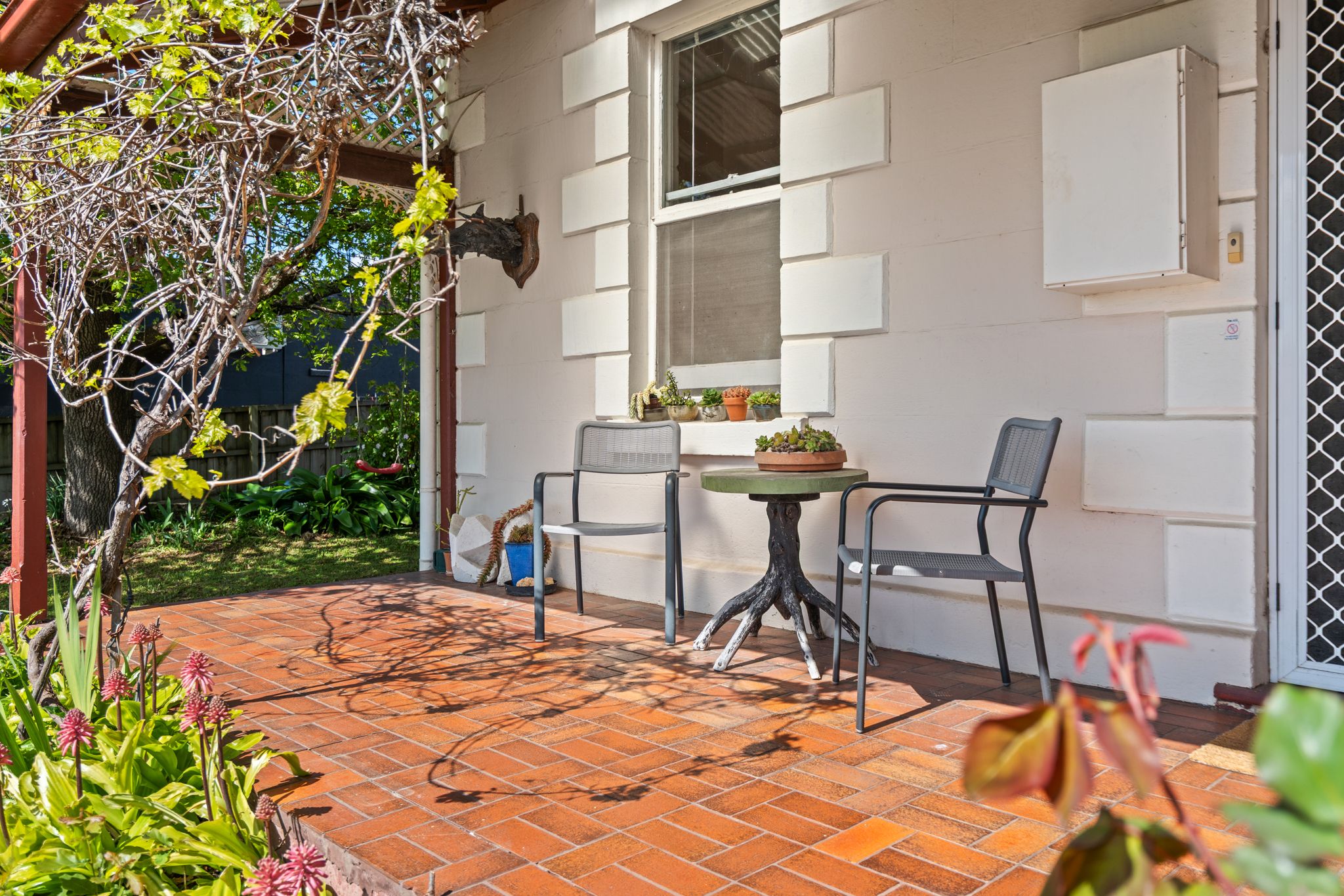 11 Amor Street — photo 3 of 30
