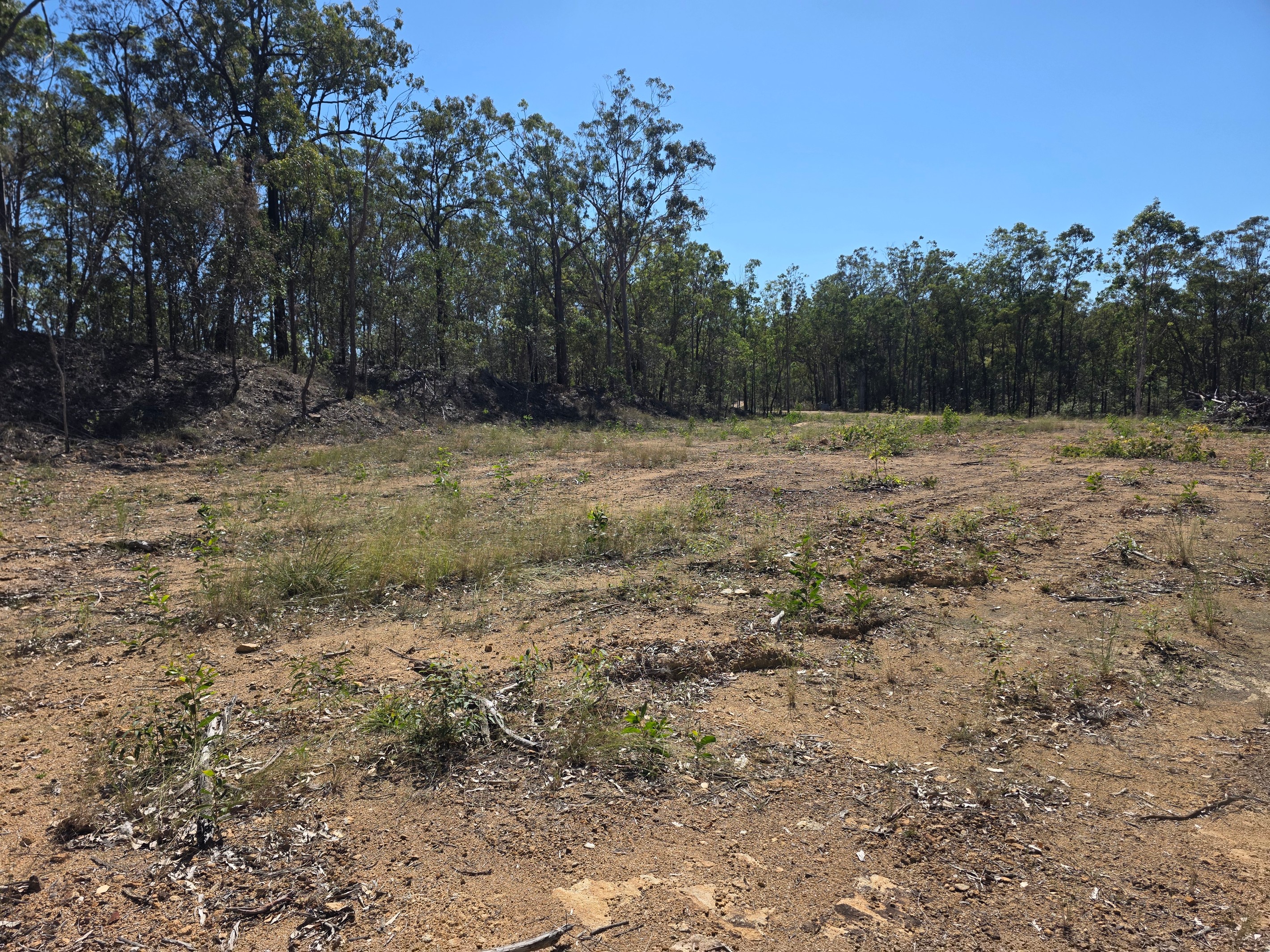452 Bruxner Road, Drake, NSW 2469