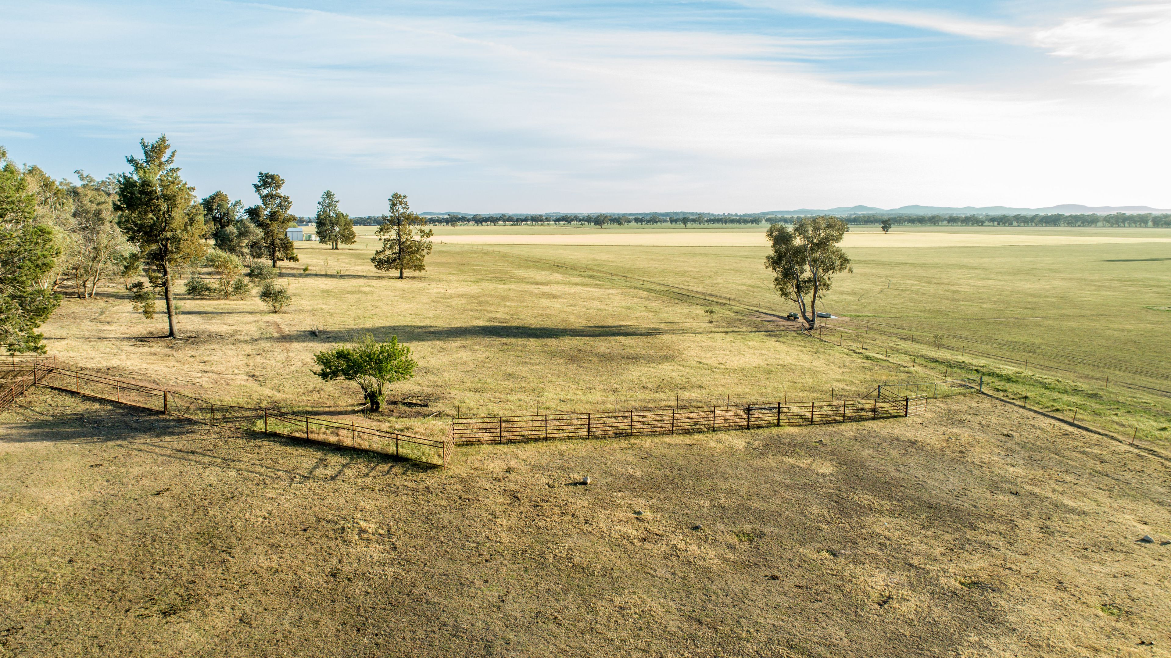 90 Thanowring School Road, Temora, NSW 2666