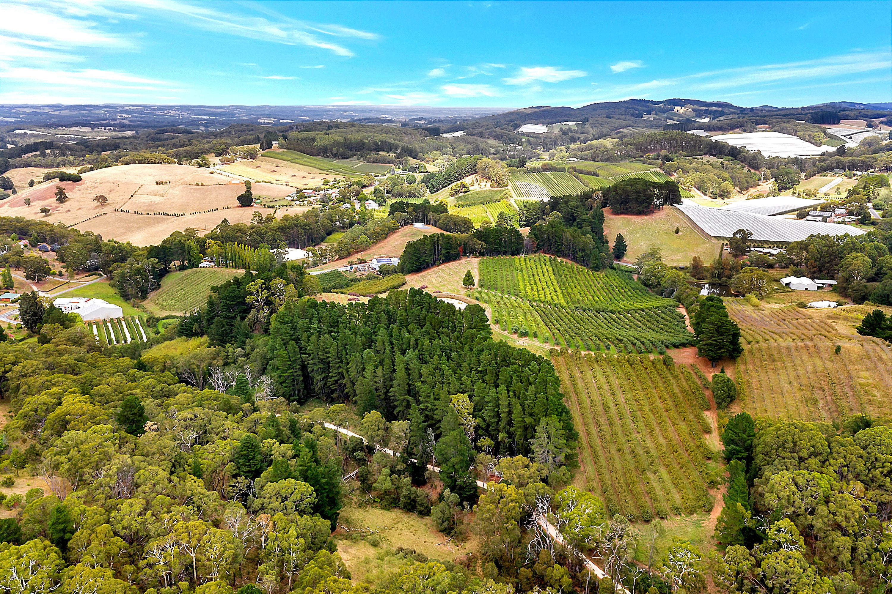 42 Plummers Road, Forest Range, SA 5139