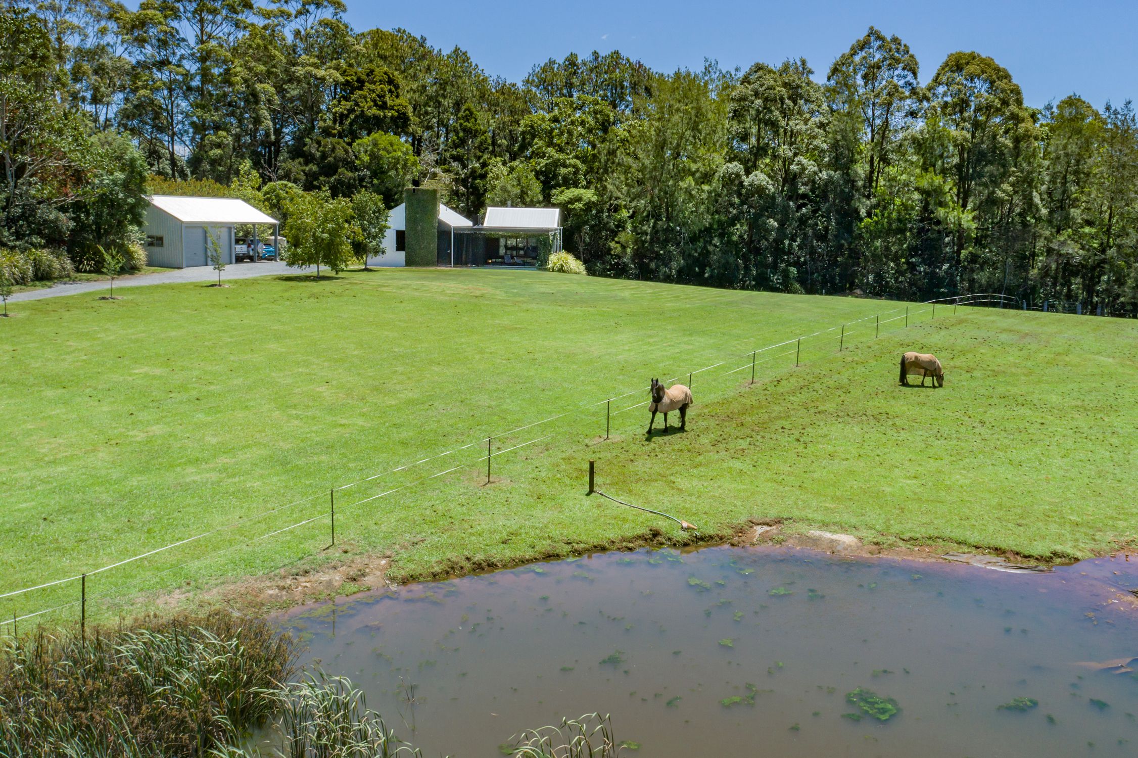 311 Long Road, Tamborine Mountain, QLD 4272 Sold Rural Lifestyle Property Ray White Rural