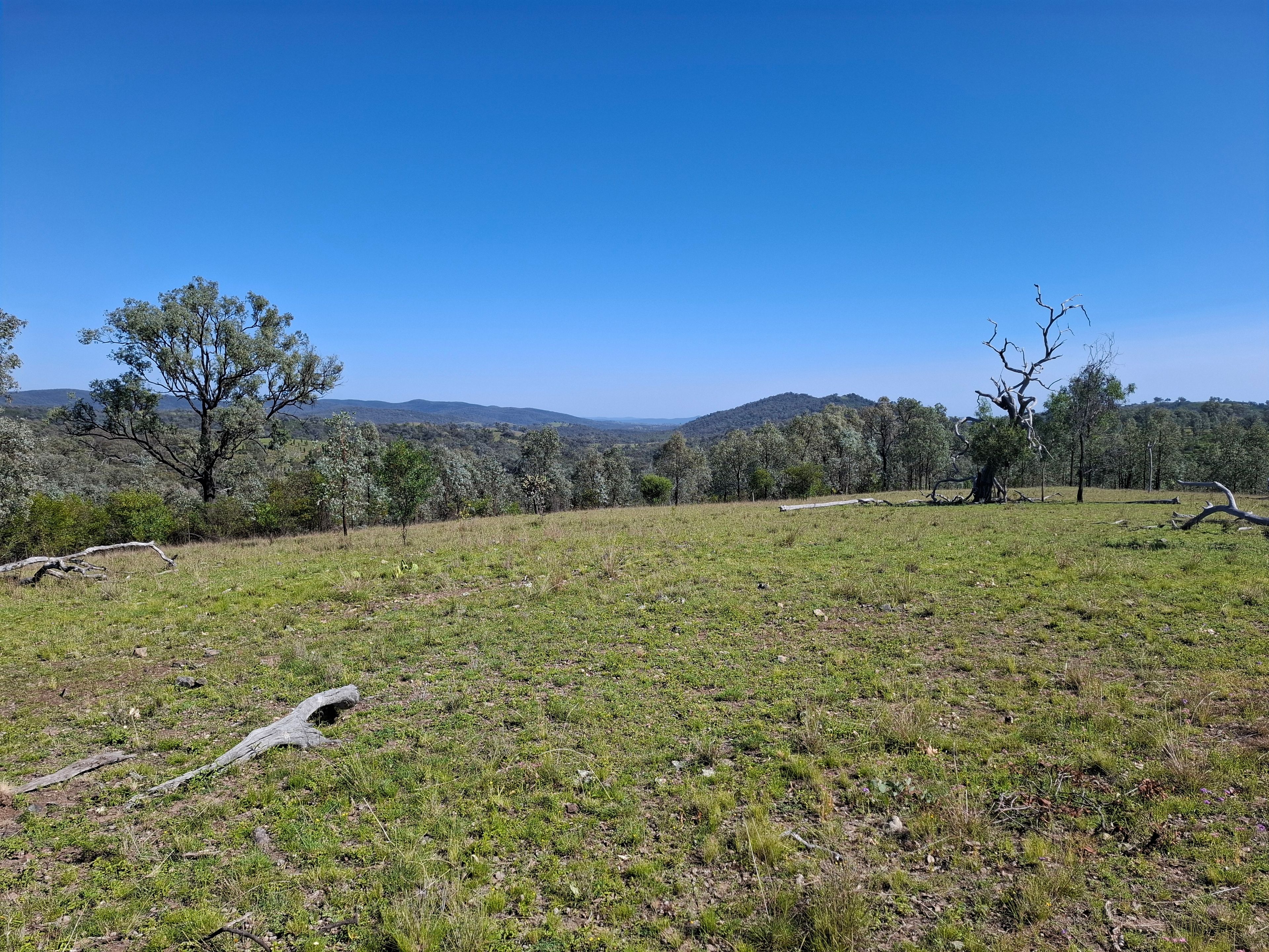 Lot 14 Redgate Silverspur Road, TEXAS, QLD 4385