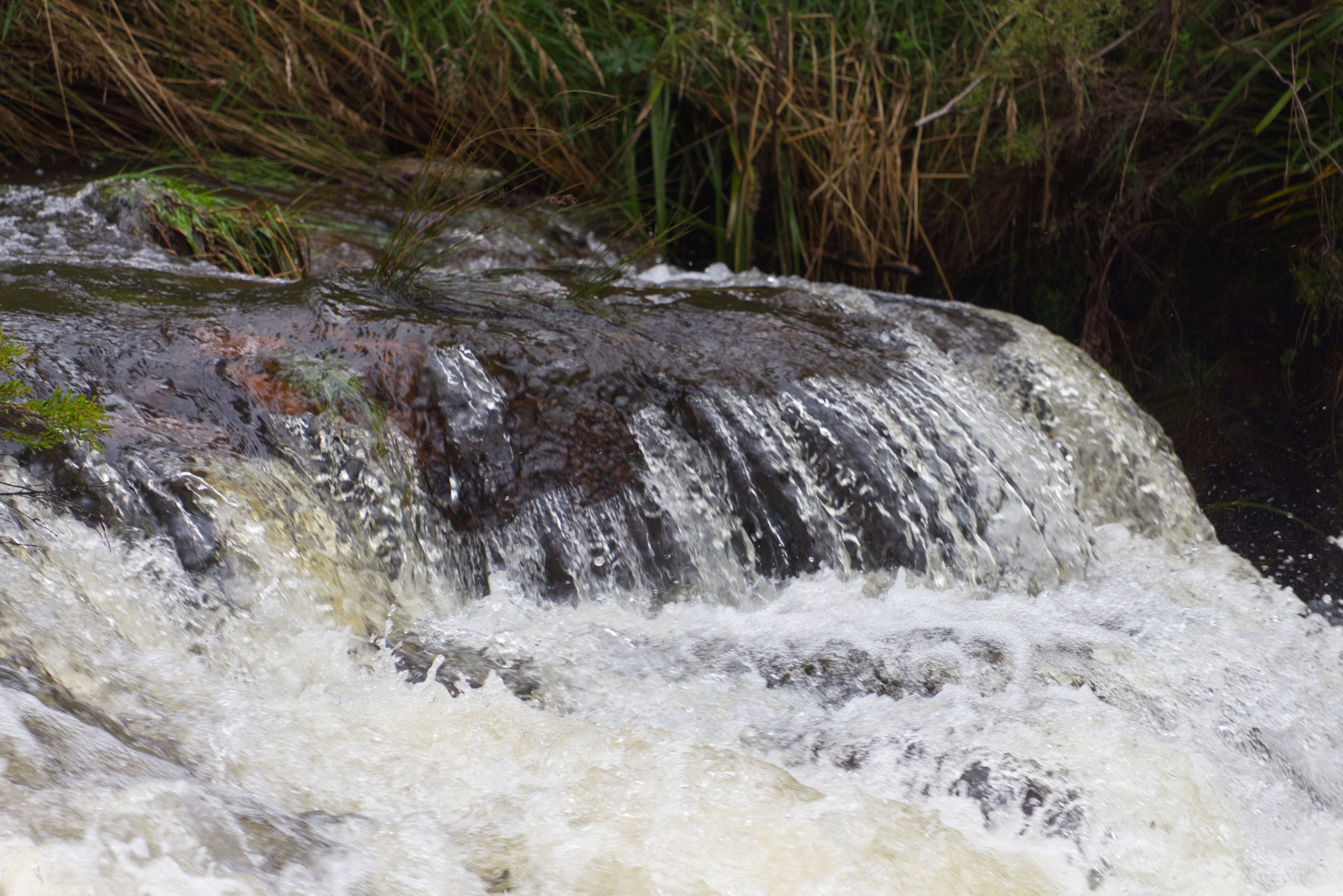 194 Point Lookout Road Ebor, Dorrigo, NSW 2453 Rural Lifestyle
