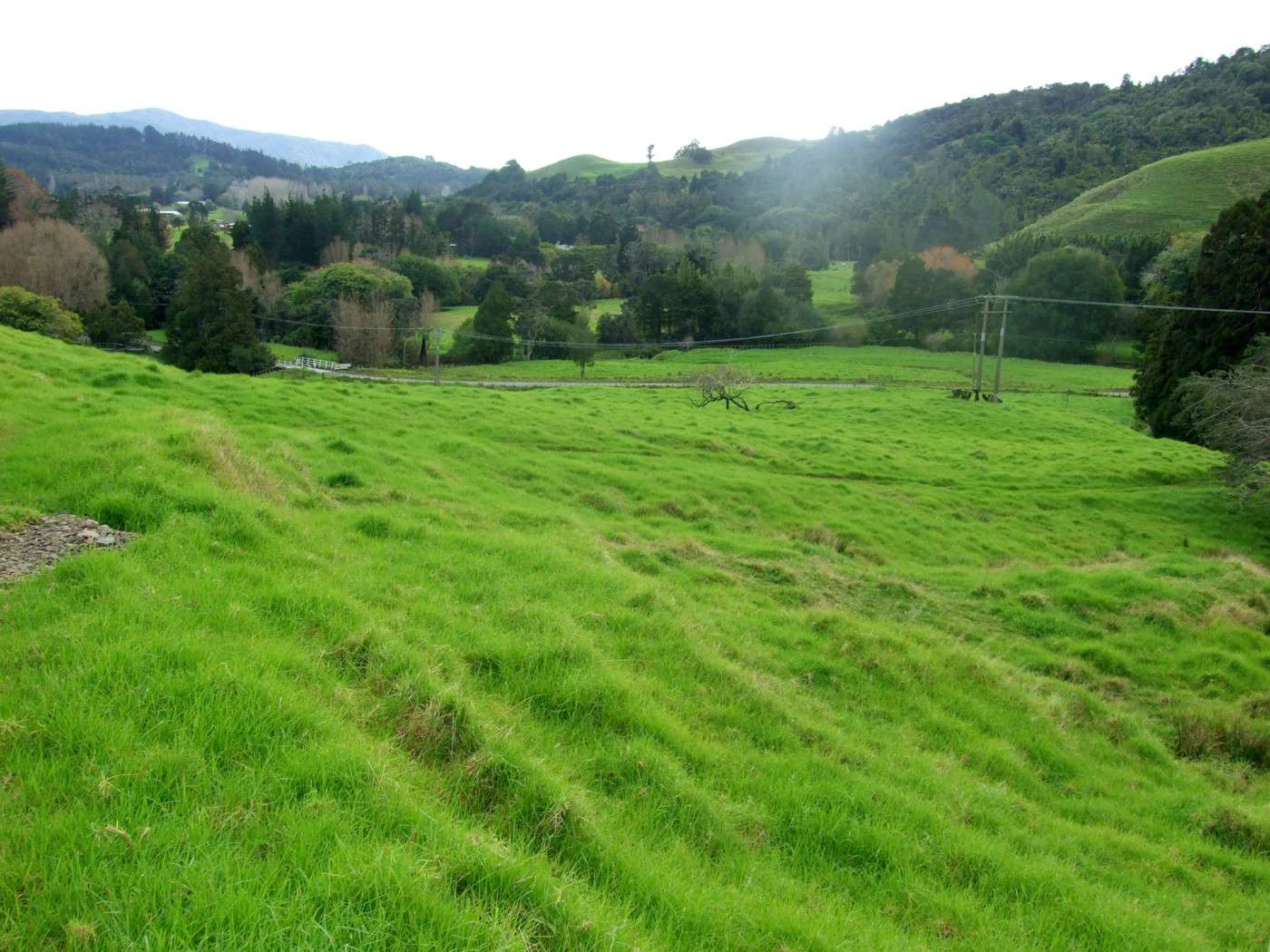 185 Takahue Saddle Road photo 0