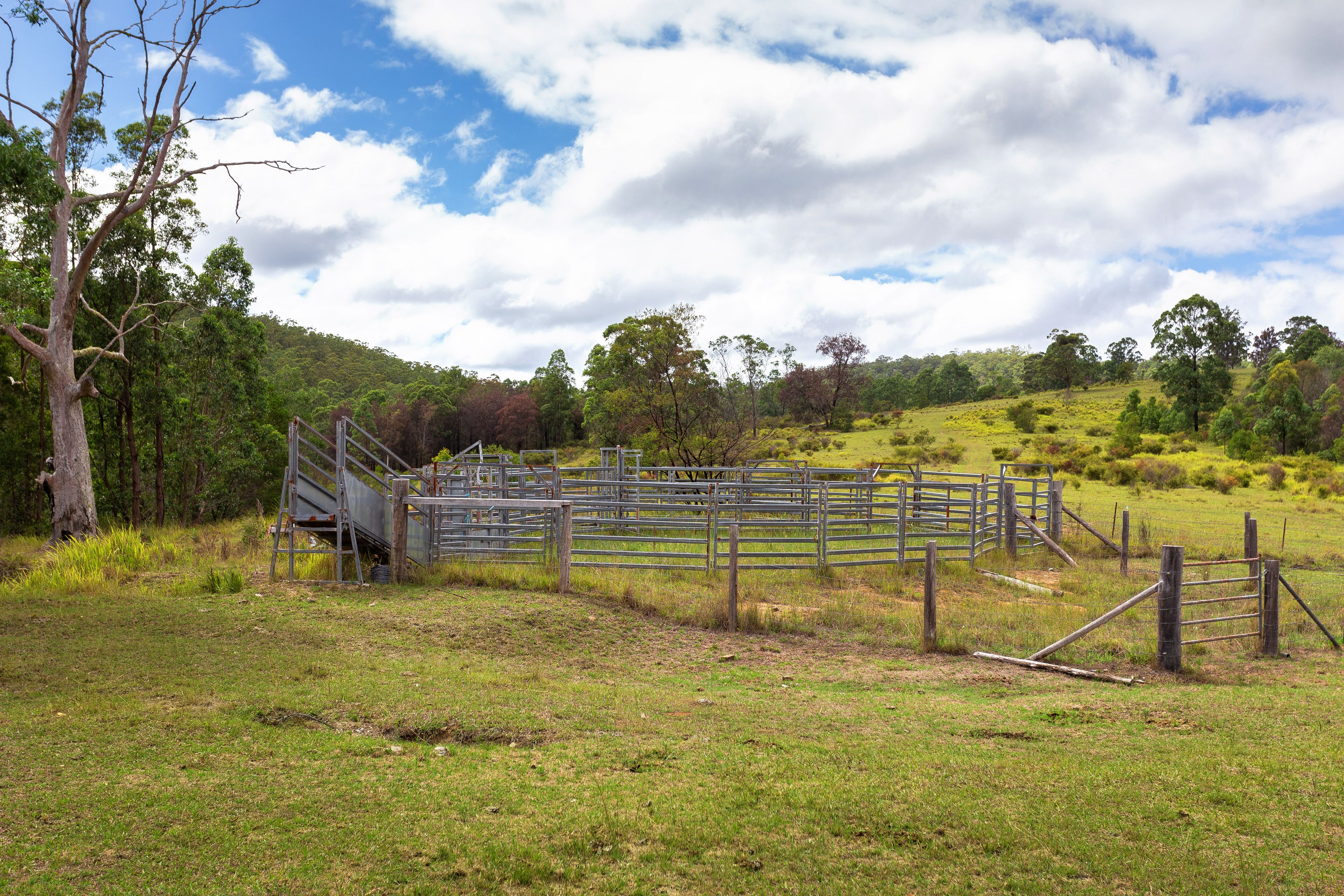 626 Black Flat Lane, Mount George, NSW 2424