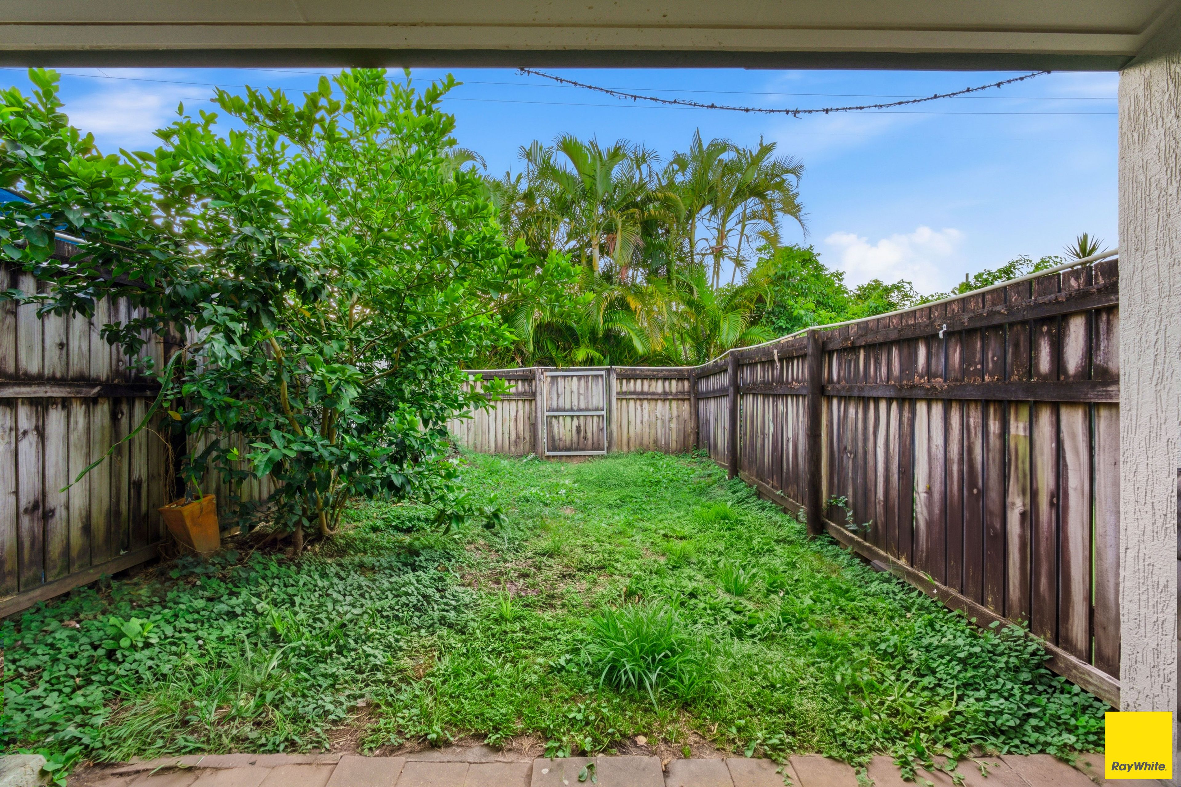 2/528 Varley Street — photo 8 of 13