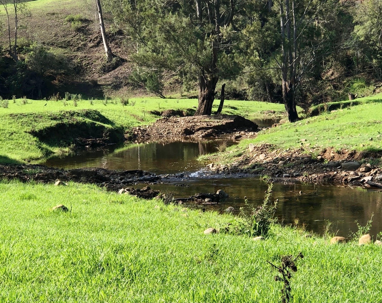 200 Coxs Creek Road, Wallaringa via, Dungog, NSW 2420