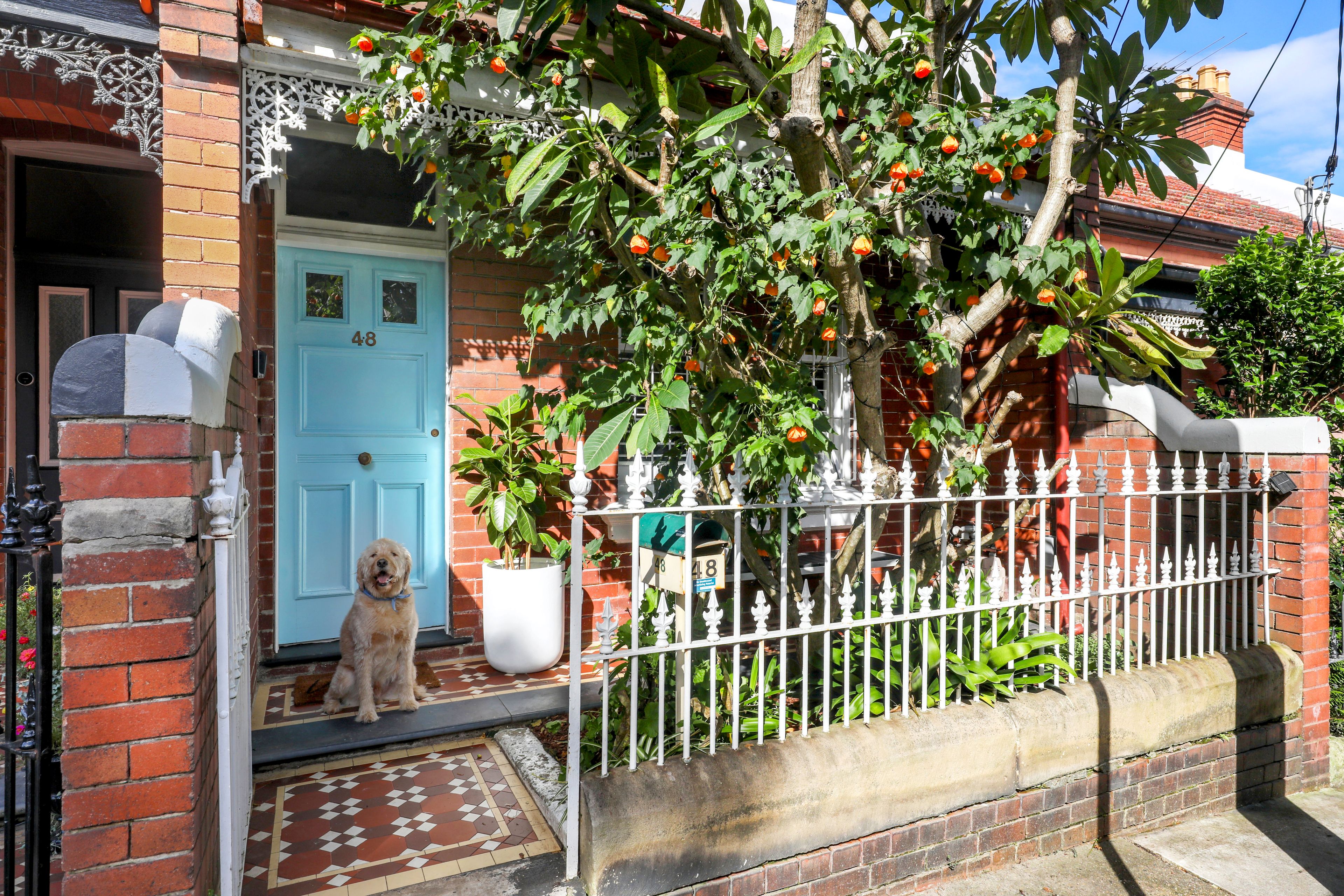 48 Simmons Street, Newtown, NSW 2042