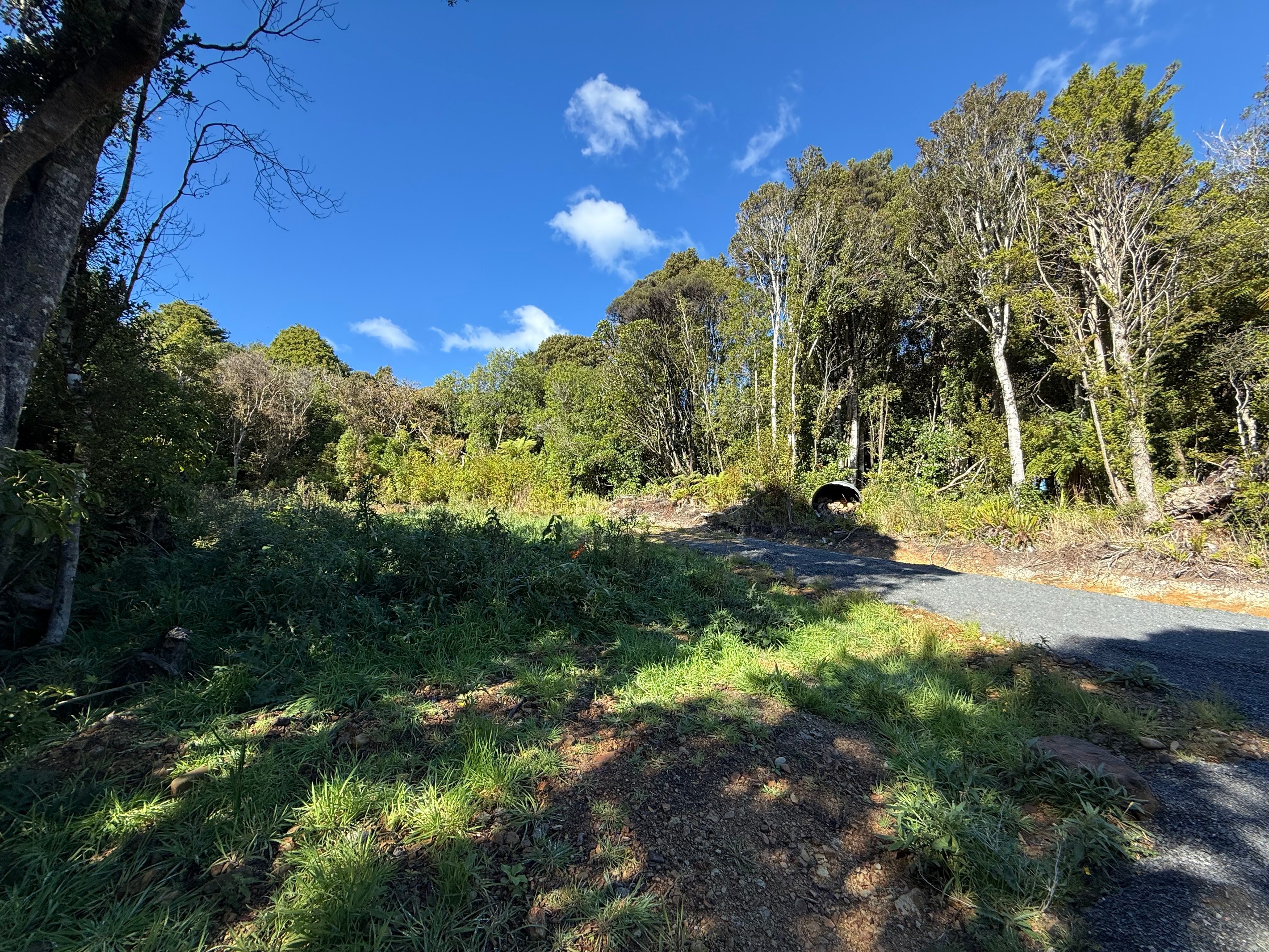 Sec 75 Papatowai Highway, Papatowai, Clutha District