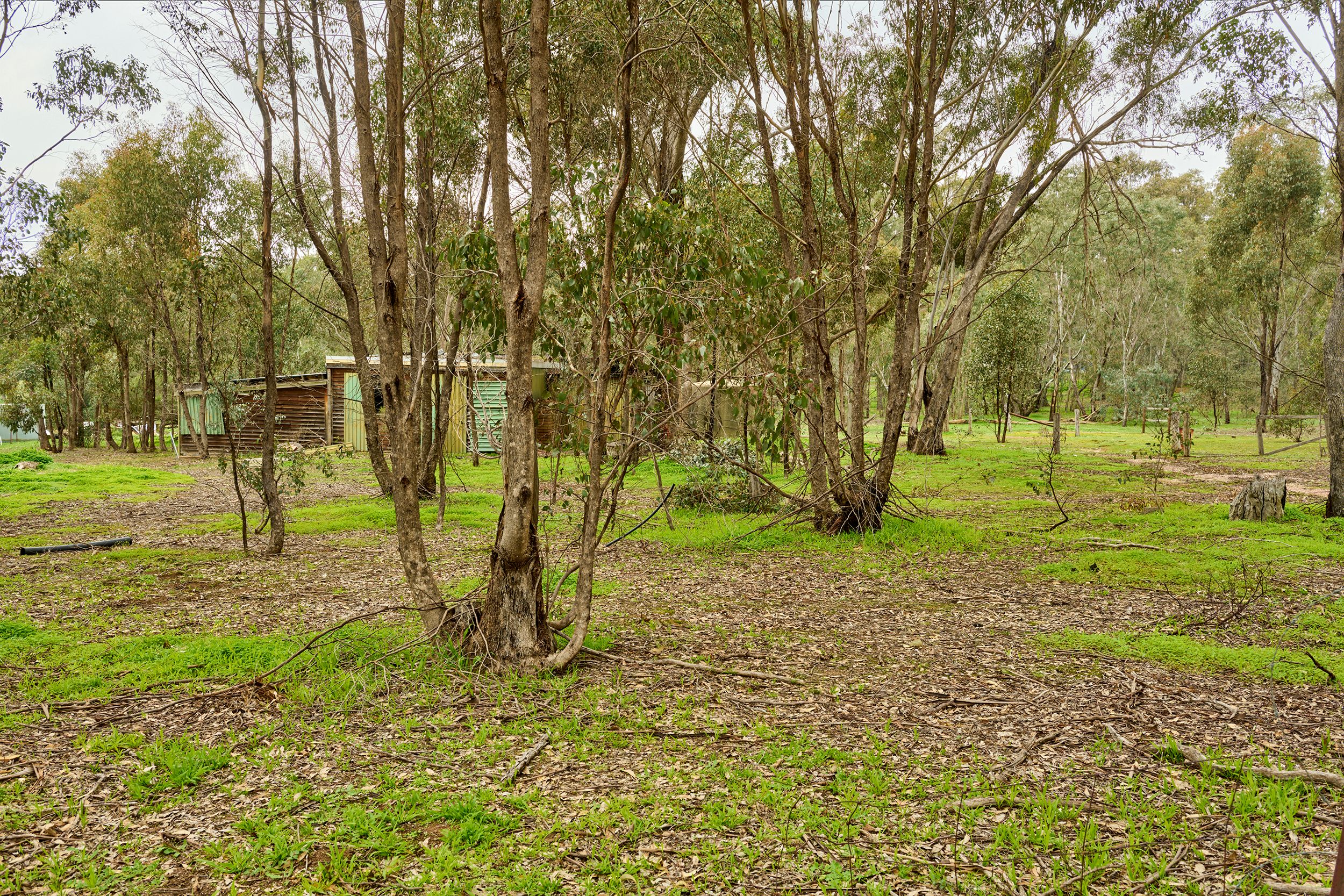 215 Hirds Road — photo from Ray White Heathcote