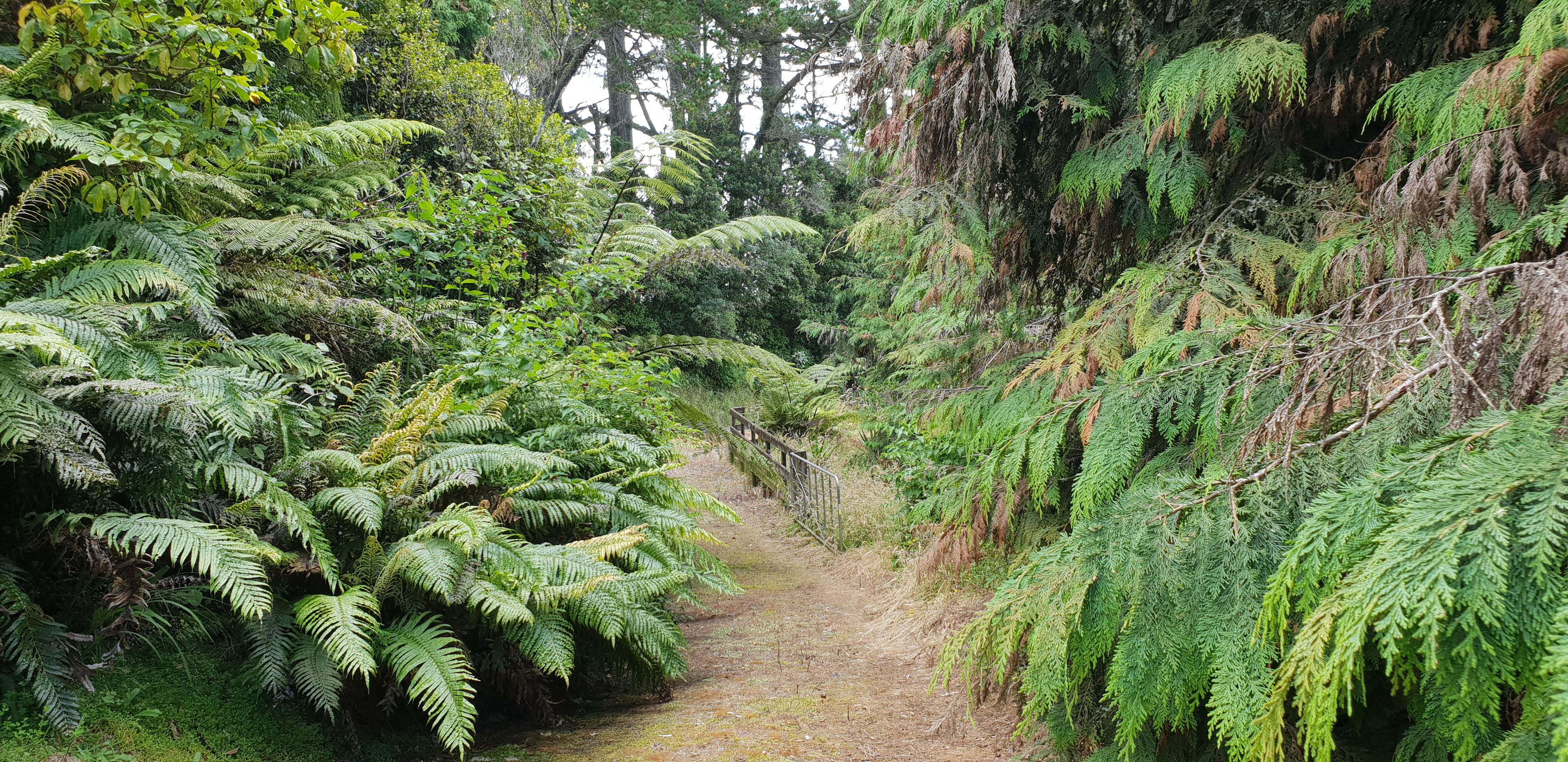 0 State Highway 31, Pirongia, Waipa District