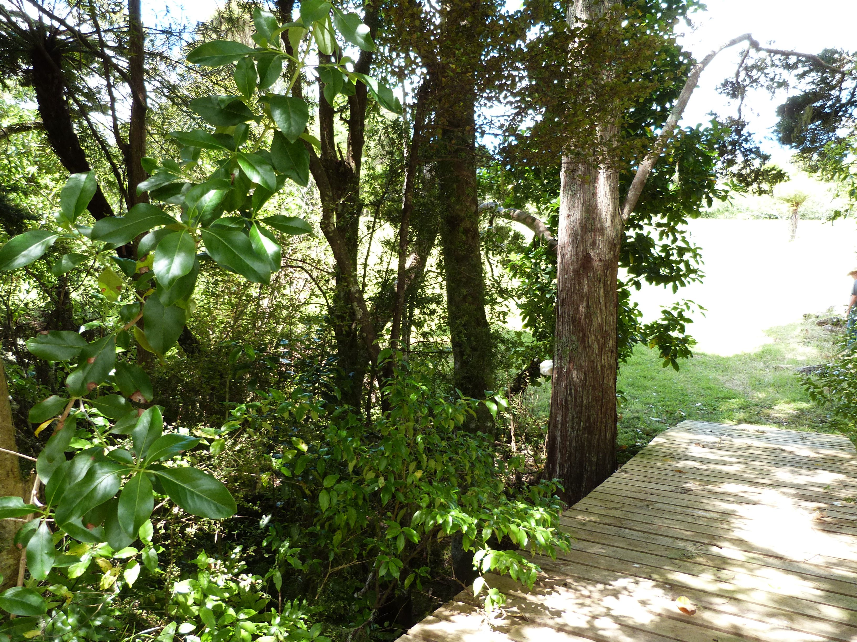 Lot 2 Okokako Road, Kerikeri, Far North District 0230 Lifestyle