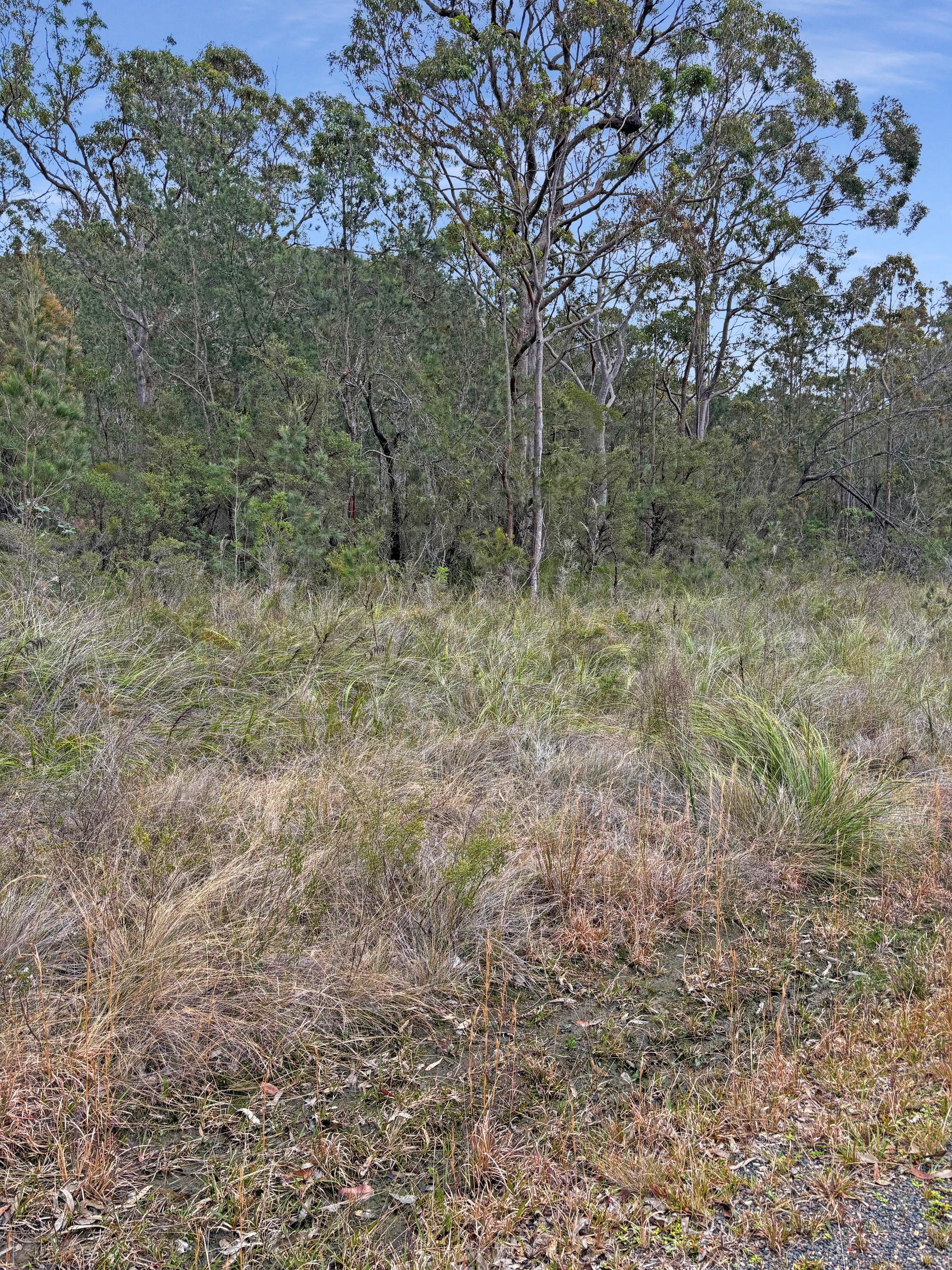 Lot 5 Carrington Road, North Arm Cove, NSW 2324