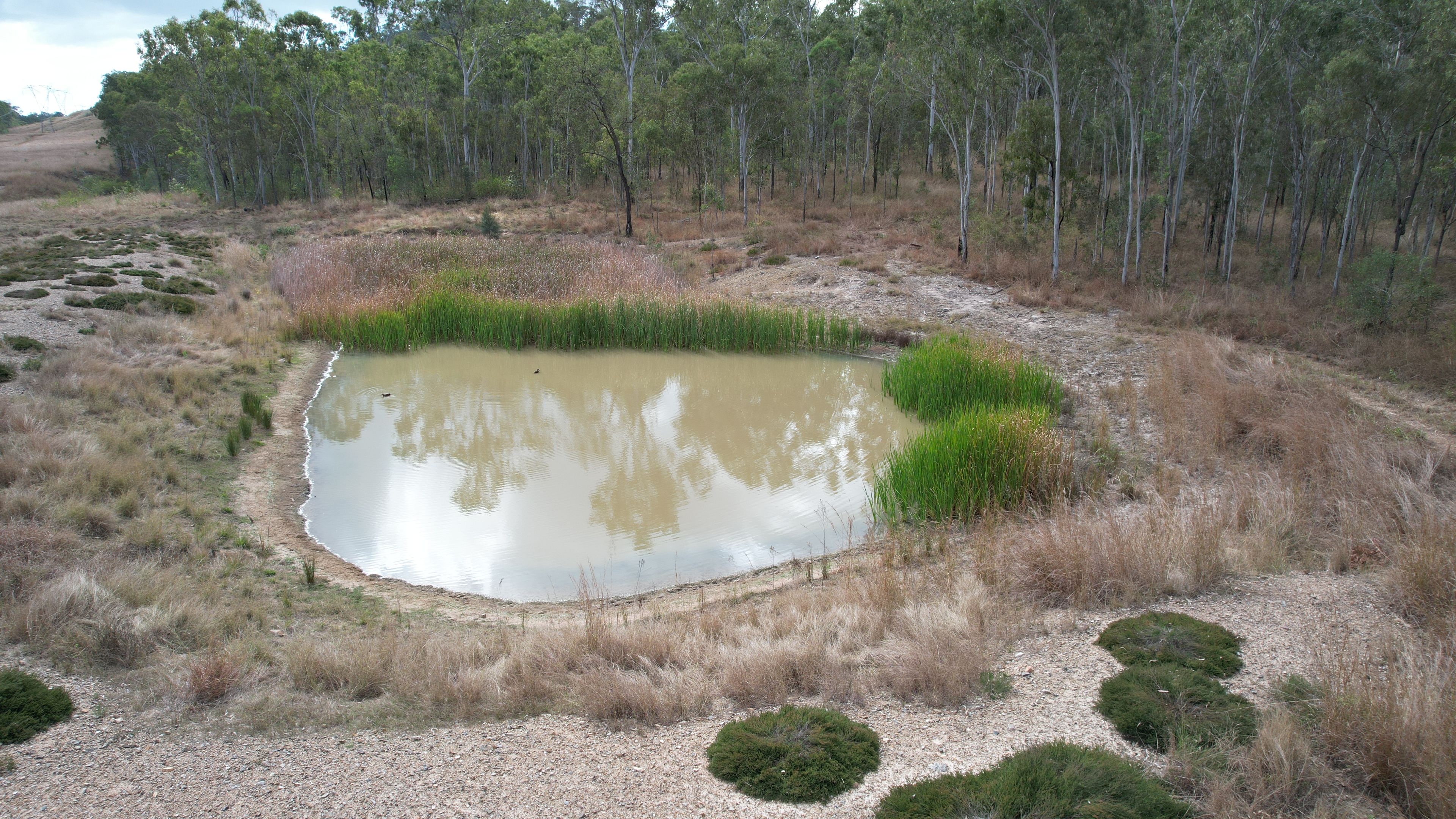 "Machine Creek" 49599 Bruce Highway, Benaraby, QLD 4680 Rural
