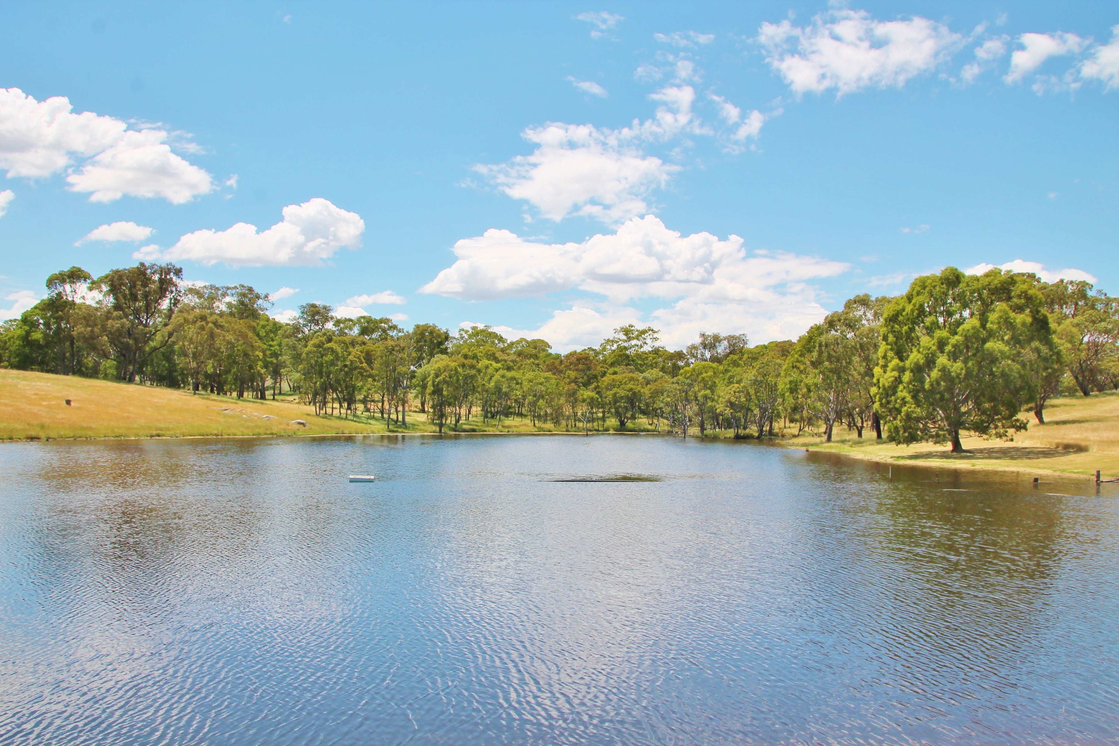 251 Rhodes Road, Young, NSW 2594