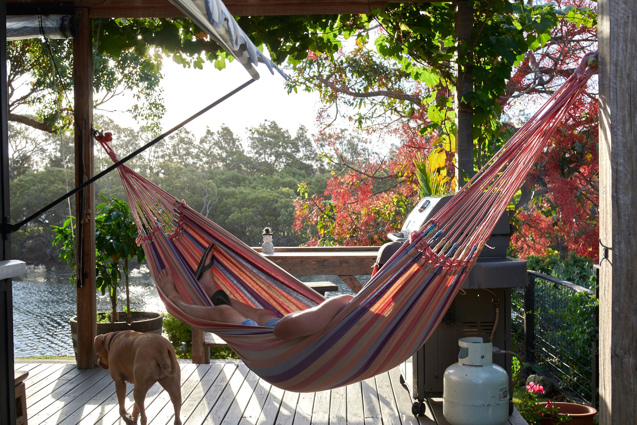 77 Walton Way, Currarong, NSW